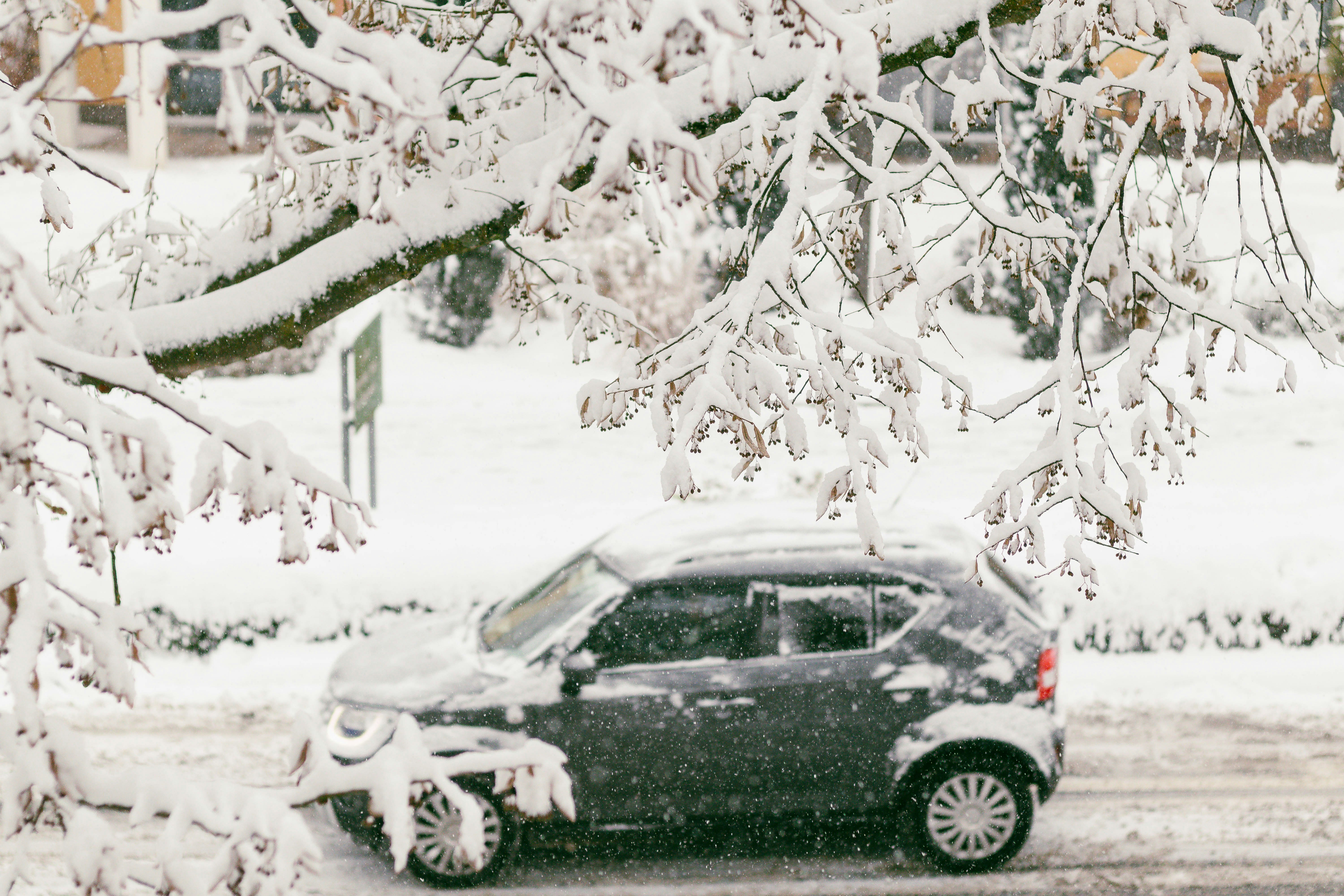 Photo by arlindphotography