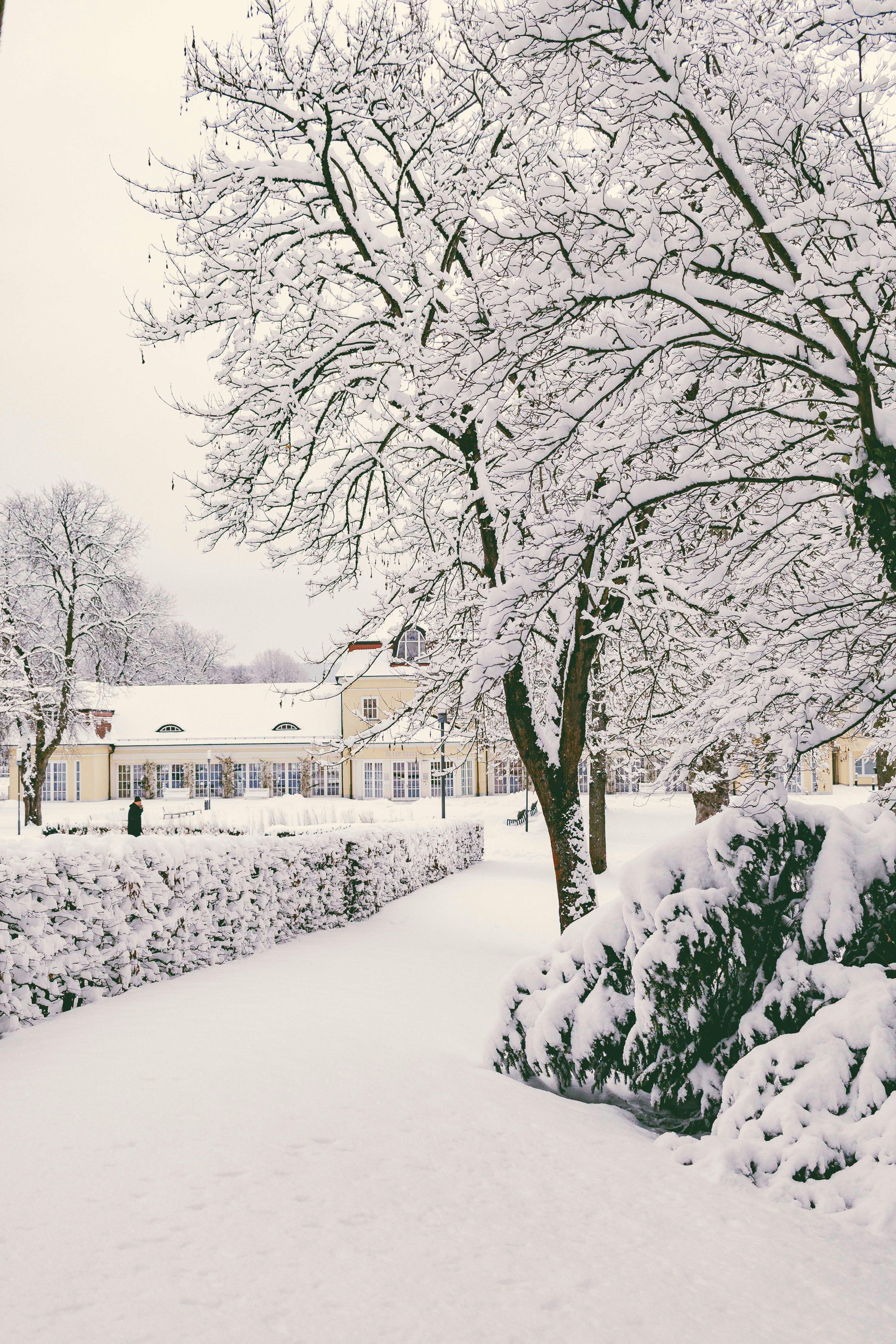 Photo by arlindphotography