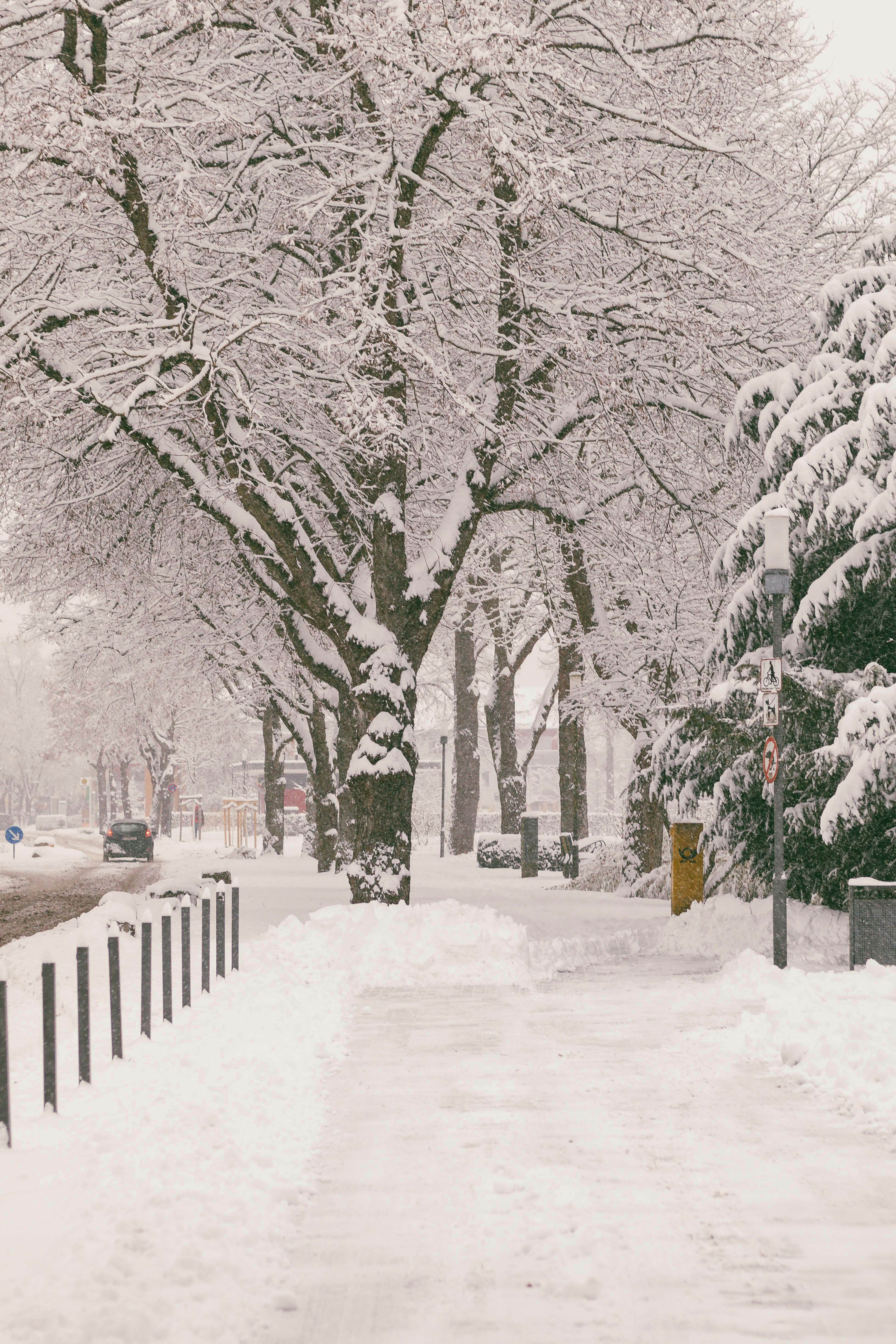 Photo by arlindphotography