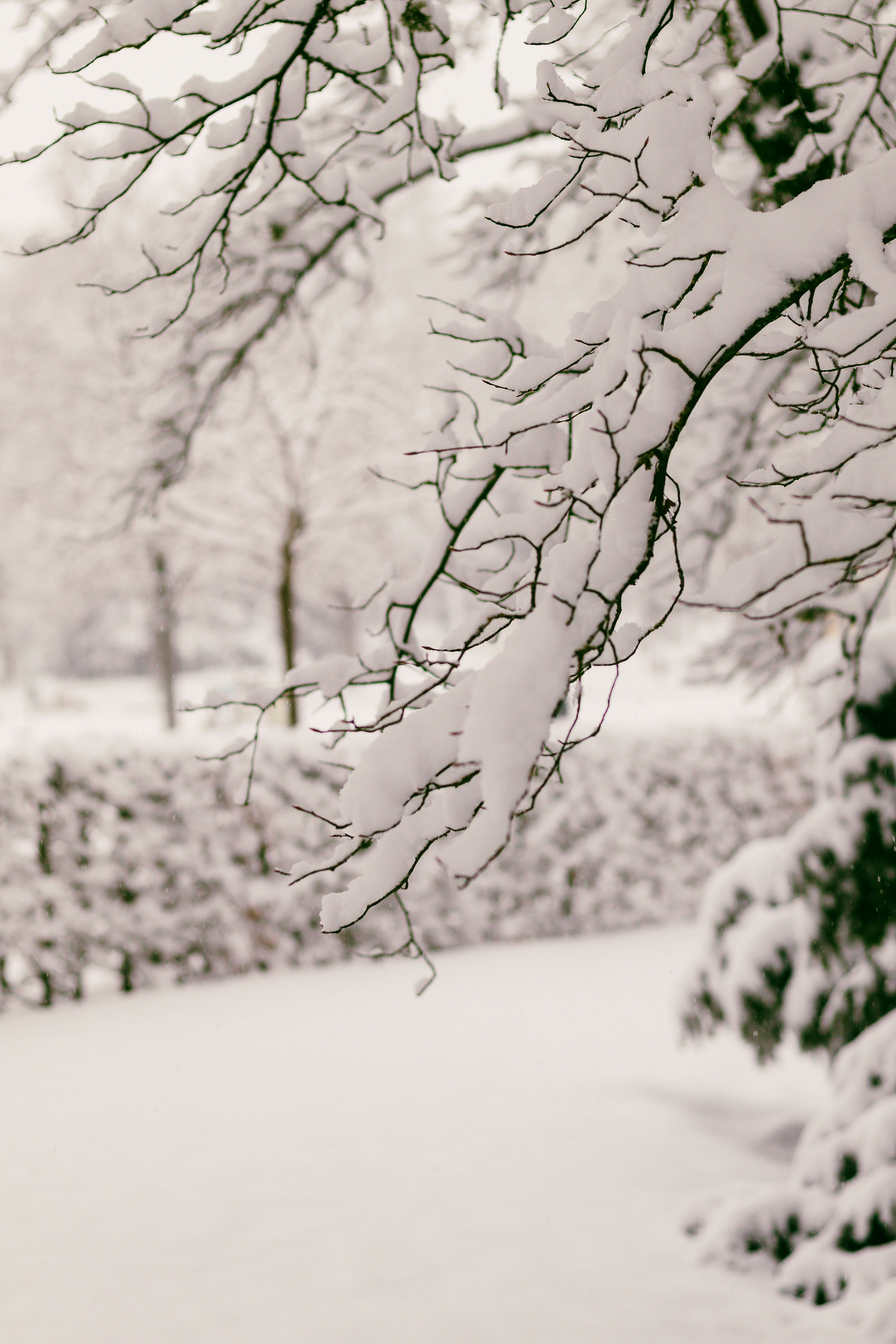 Photo by arlindphotography