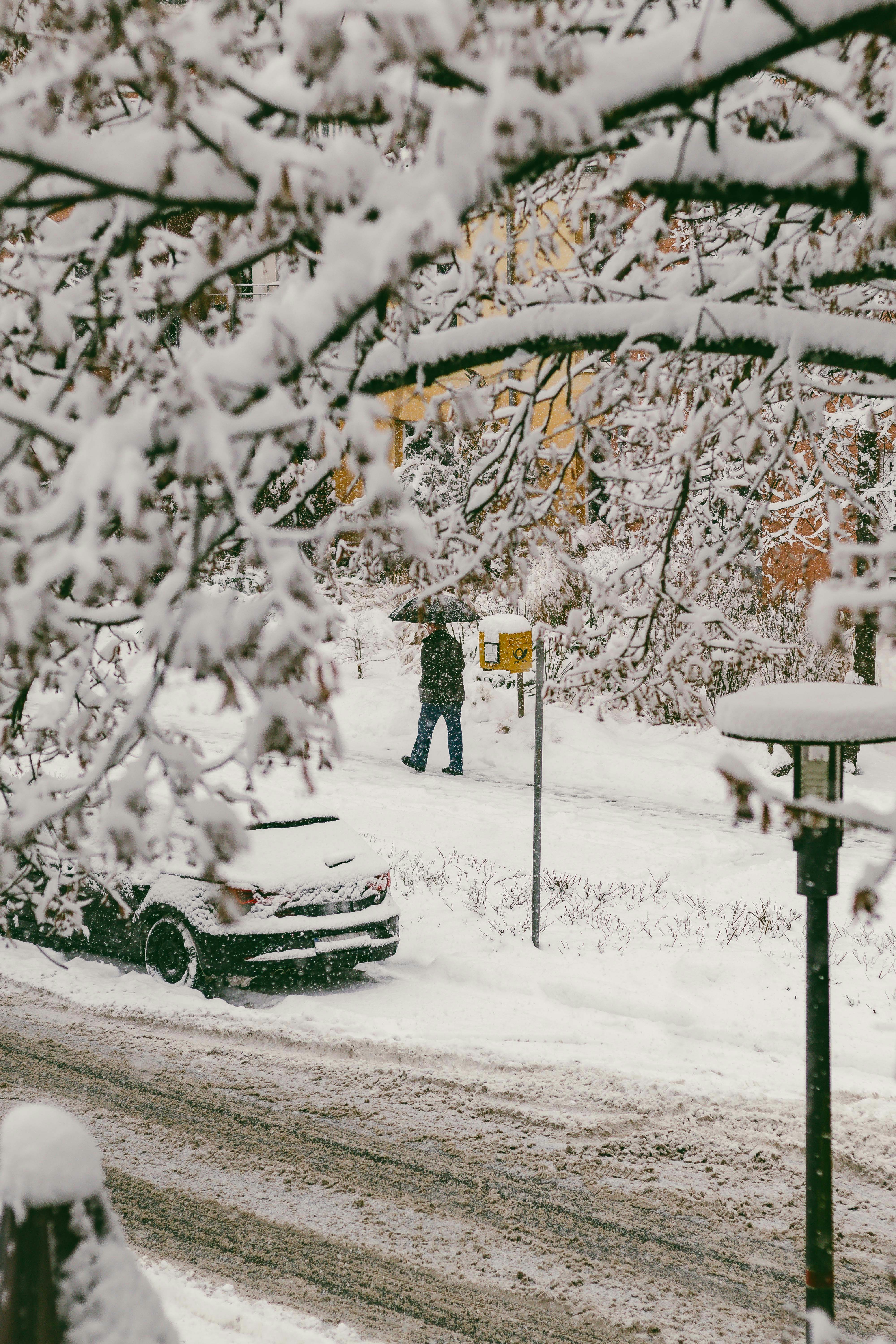 Photo by arlindphotography