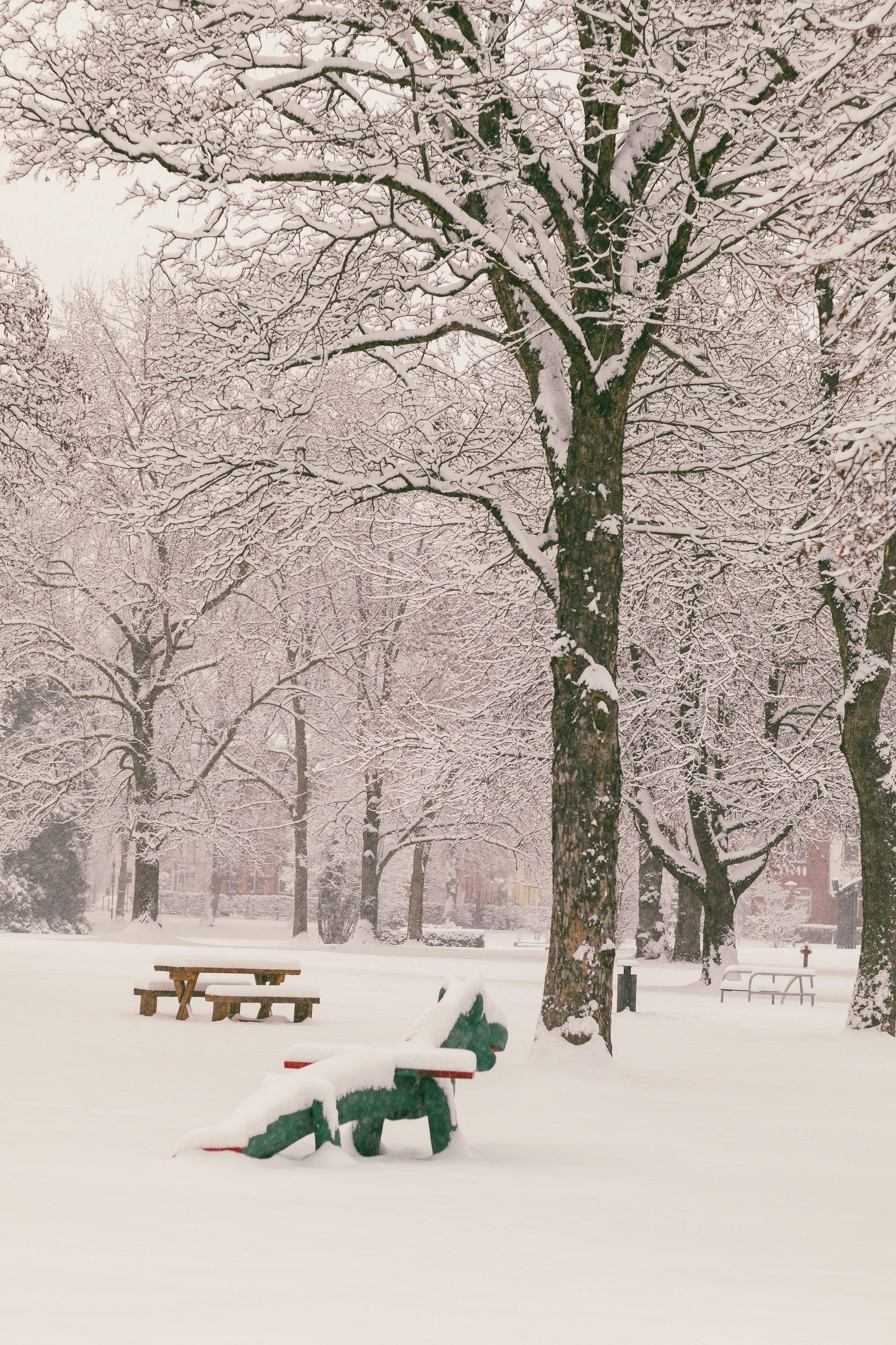 Photo by arlindphotography