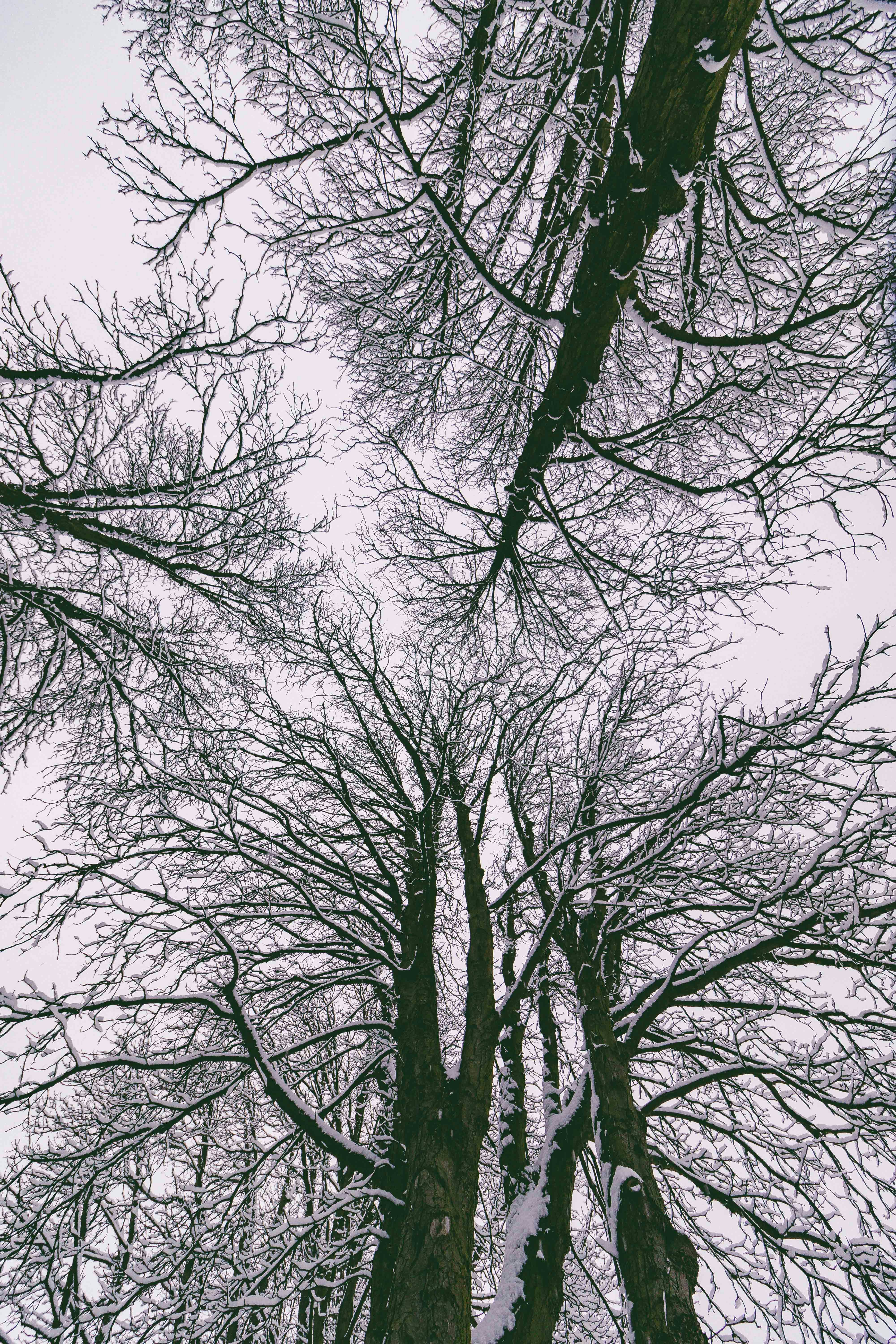 Photo by arlindphotography