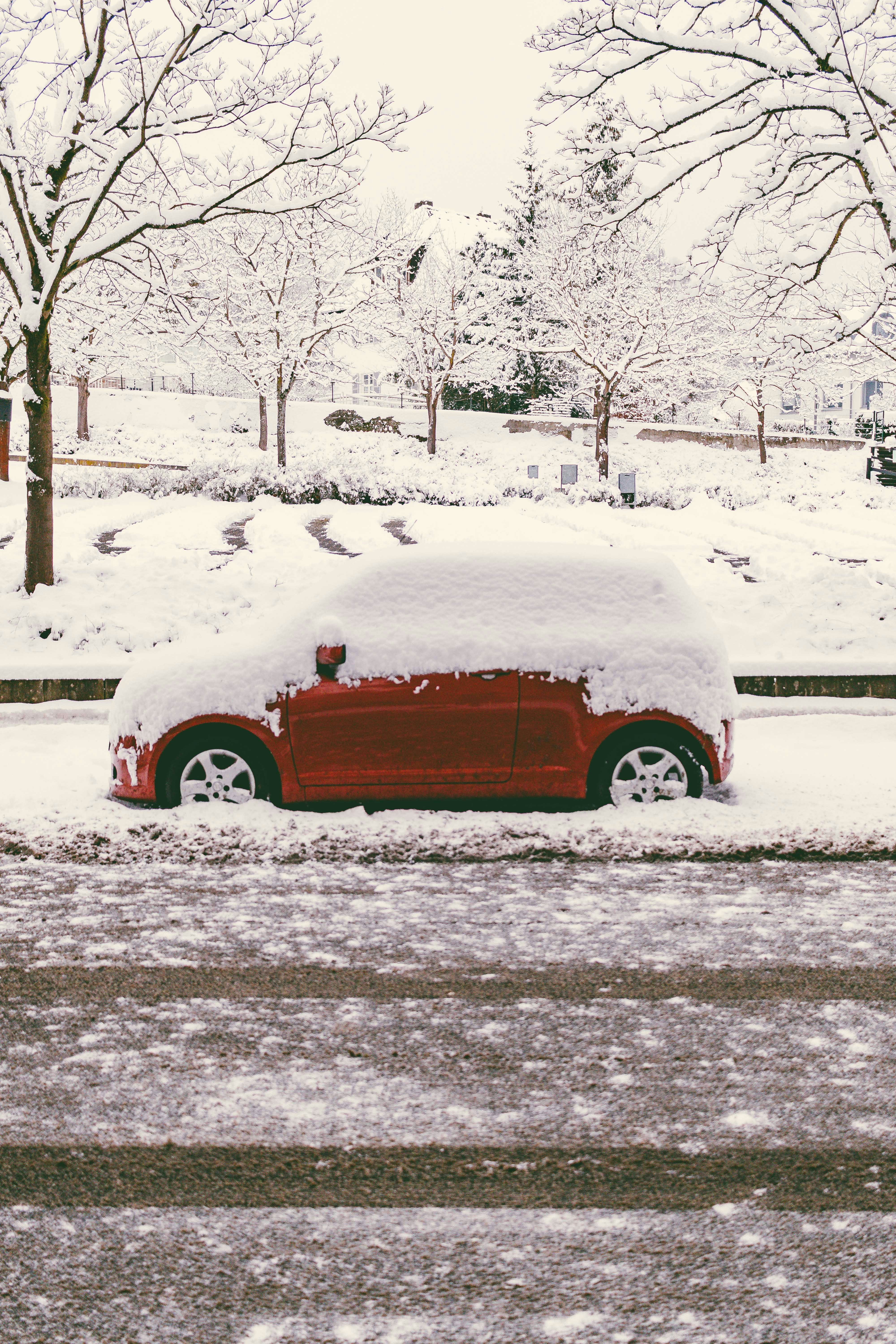 Photo by arlindphotography