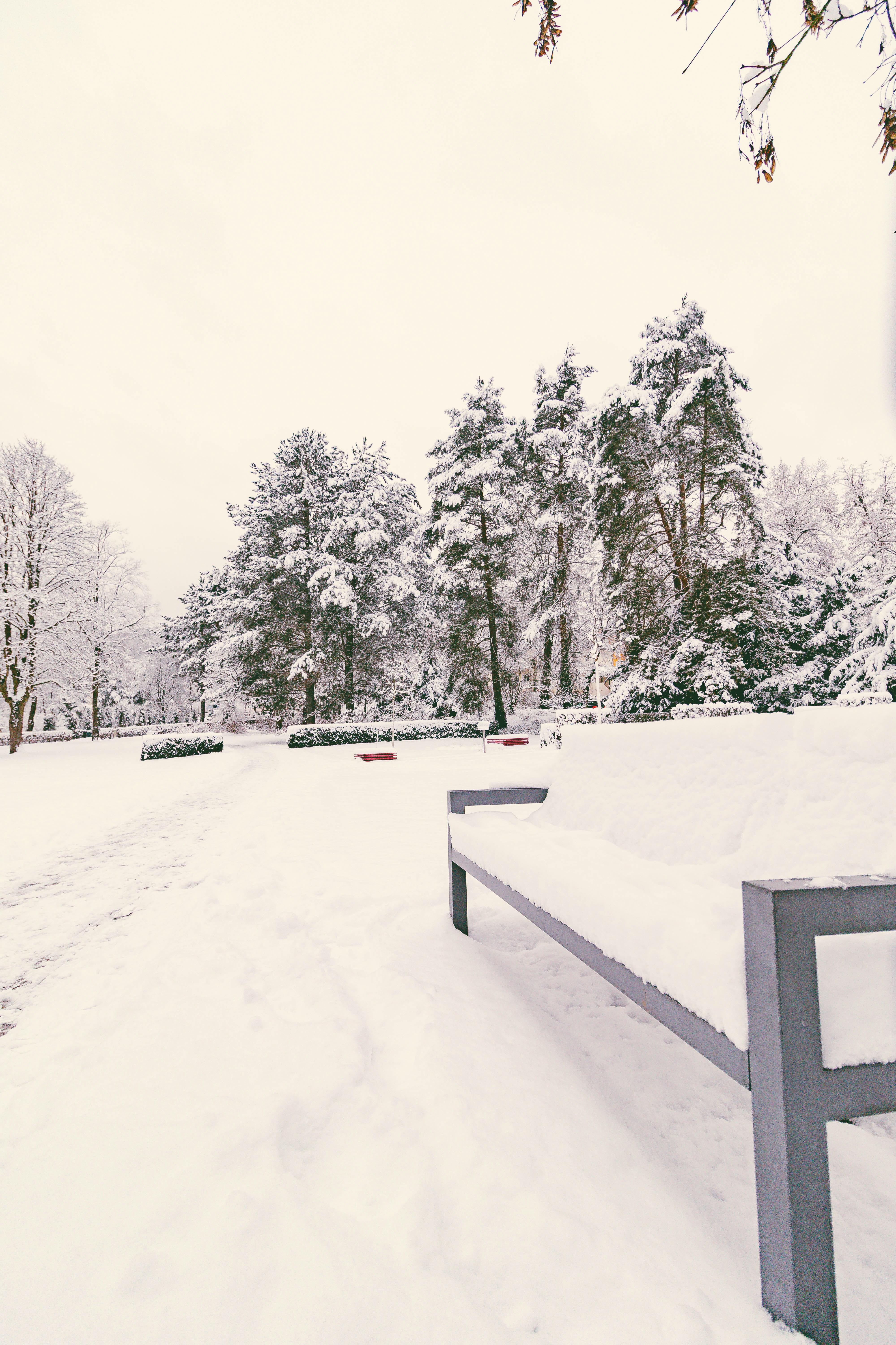 A park bench covered in snow with trees in background.