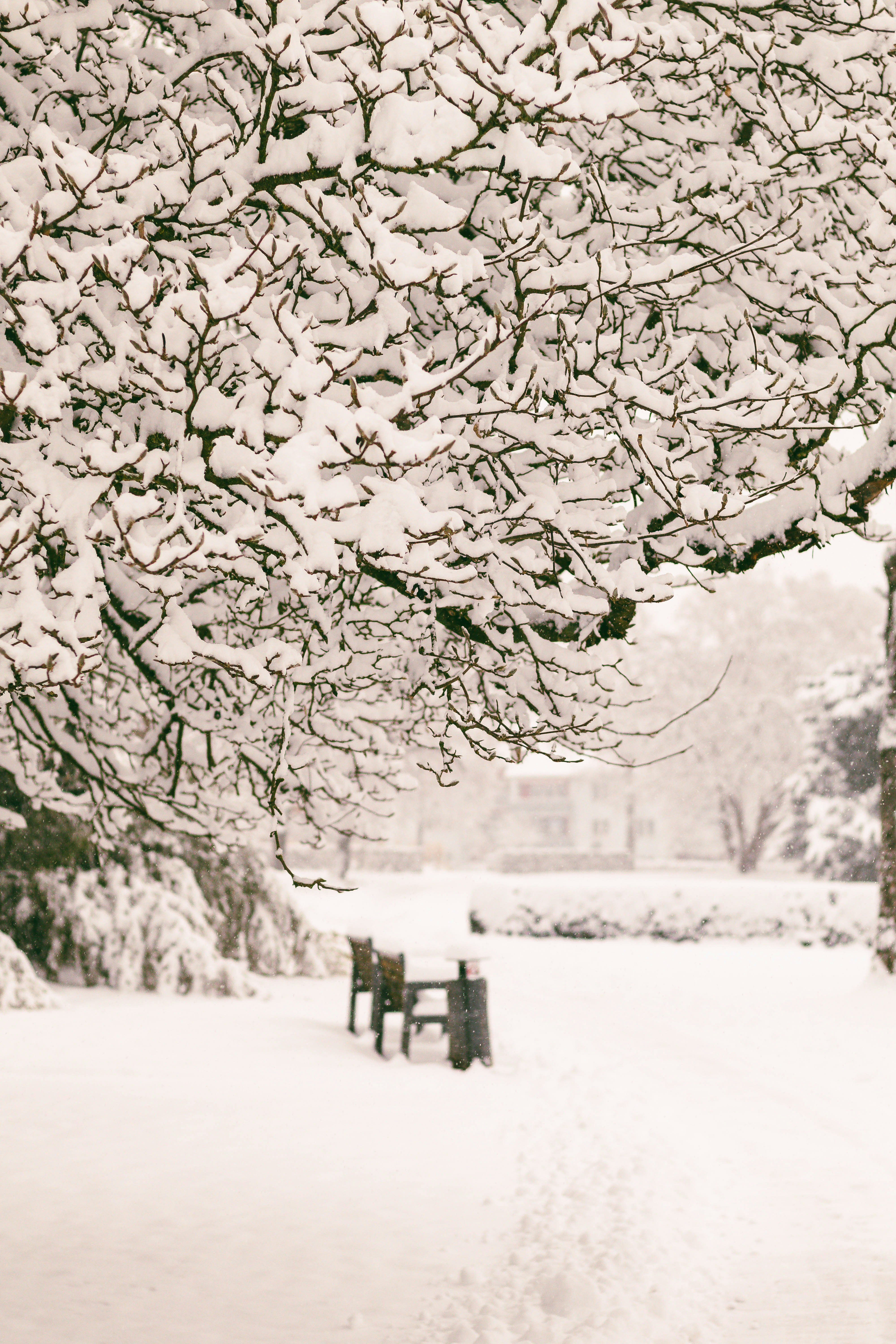 Photo by arlindphotography