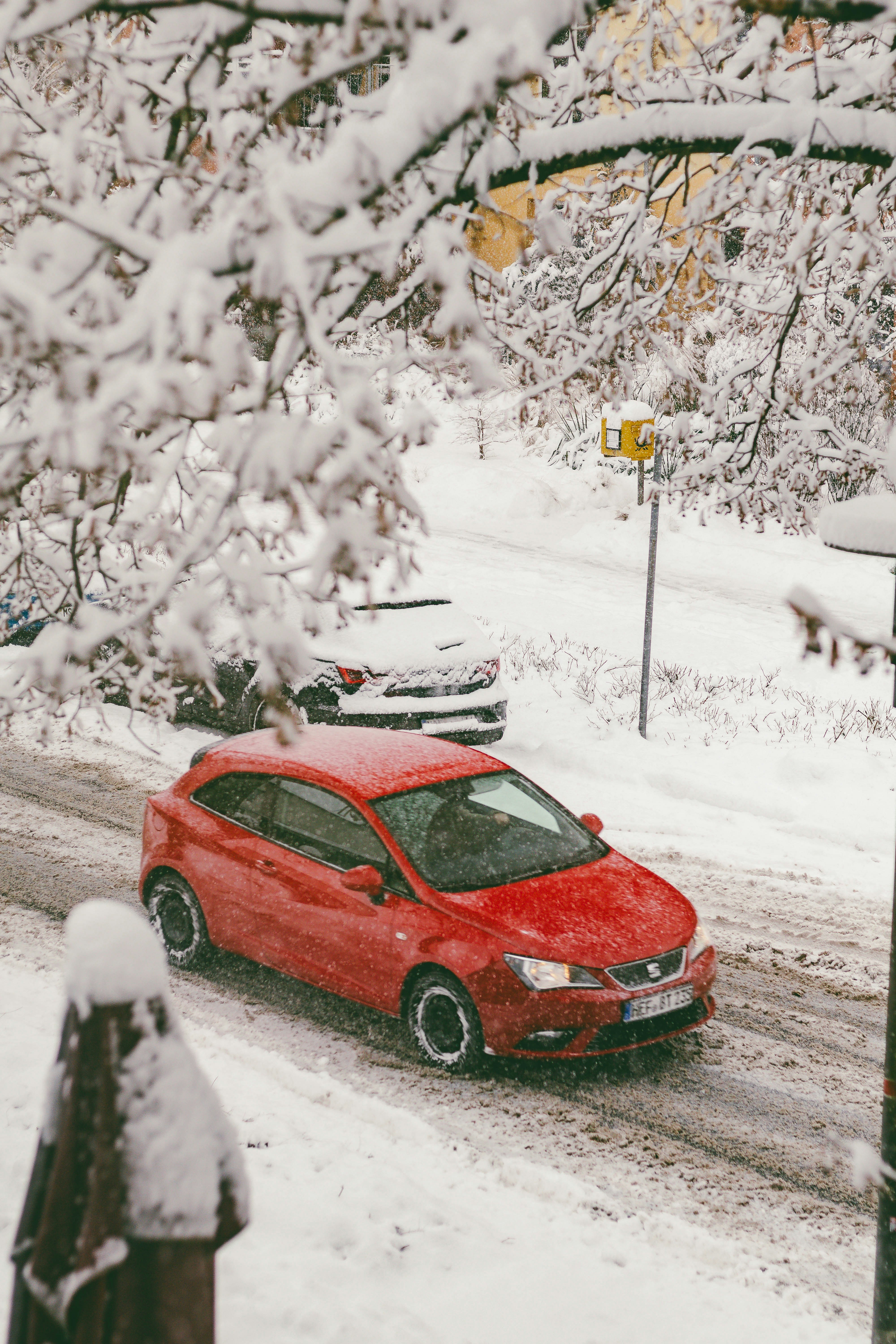 Photo by arlindphotography