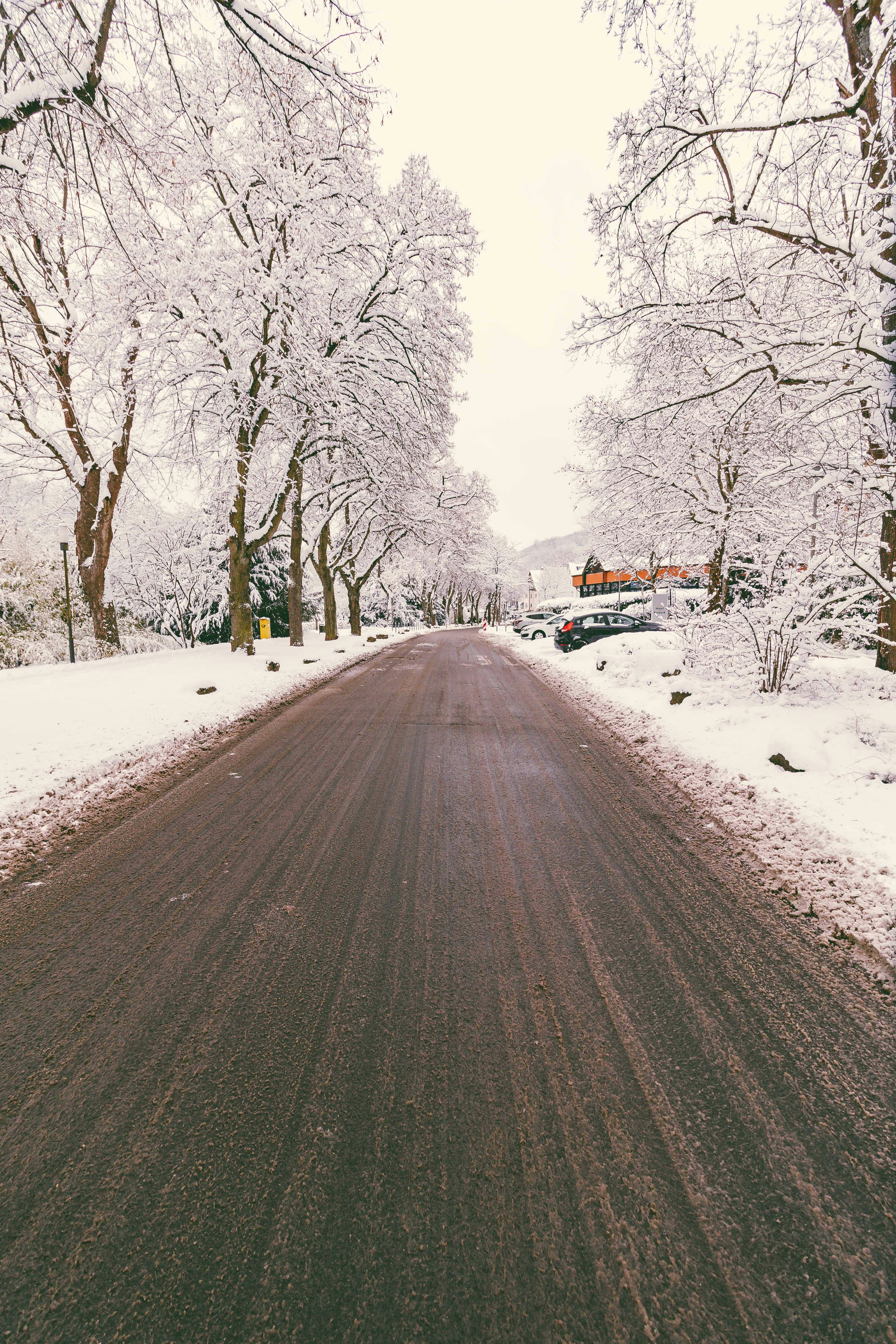 Photo by arlindphotography