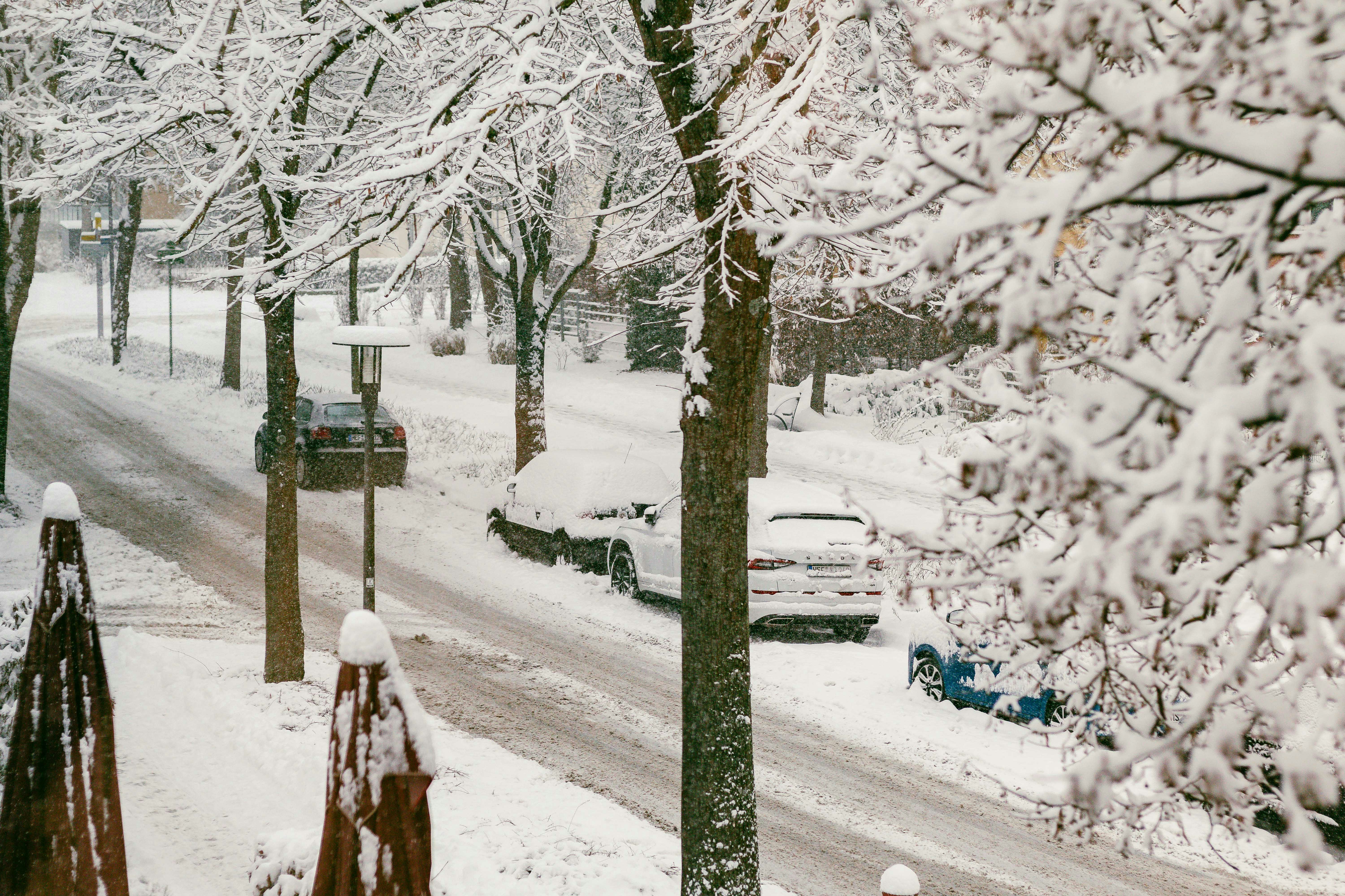 Photo by arlindphotography