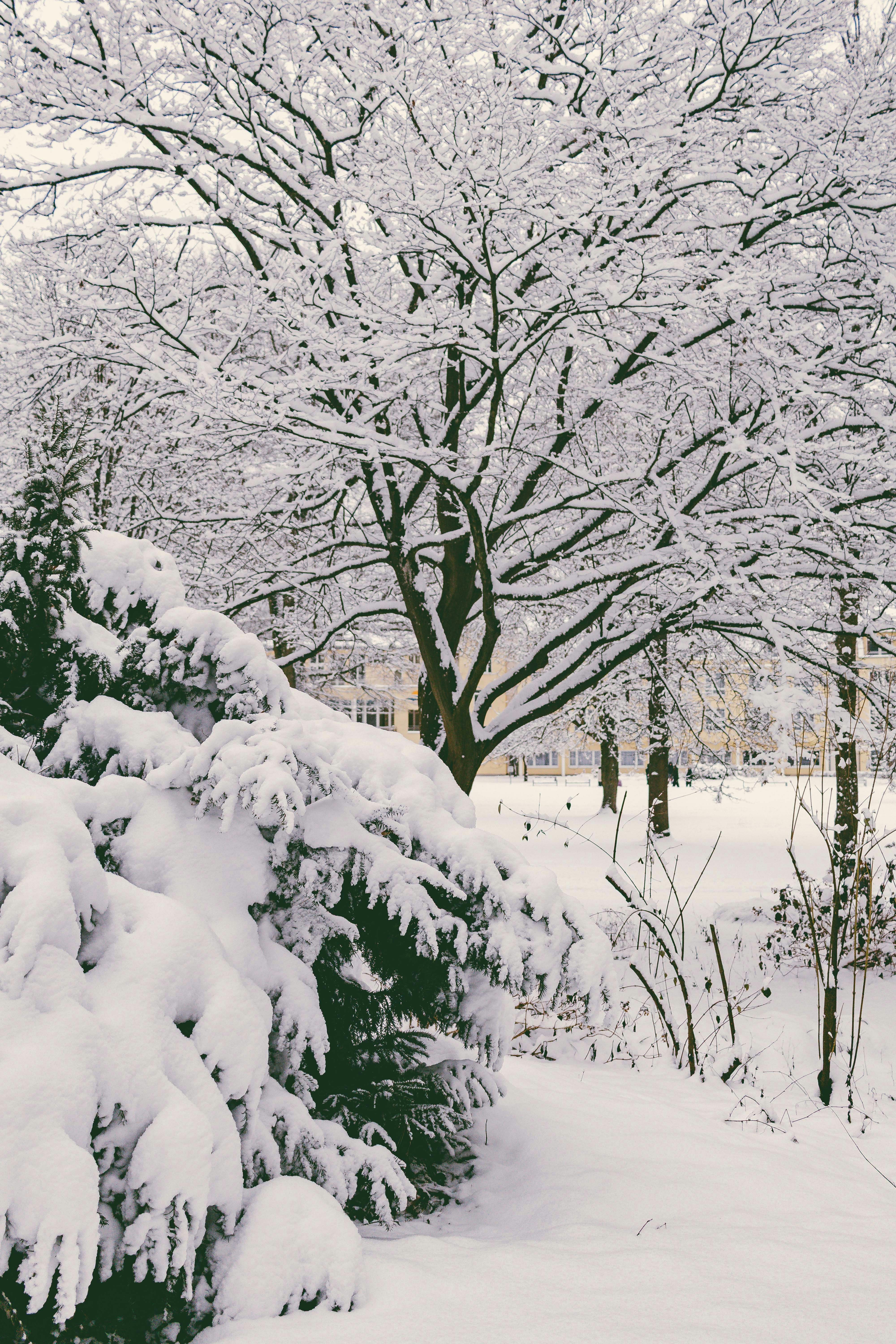 Photo by arlindphotography