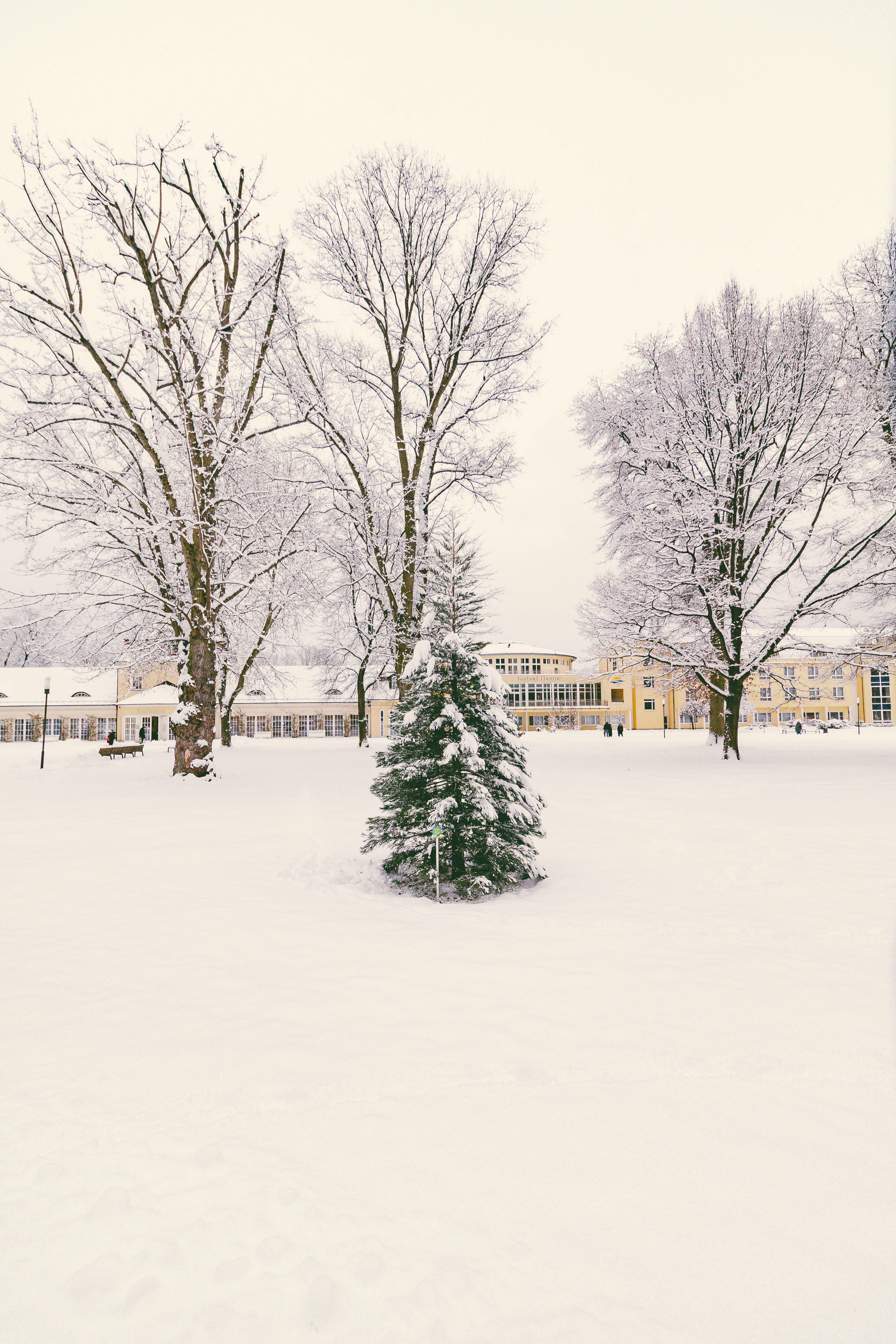 Photo by arlindphotography