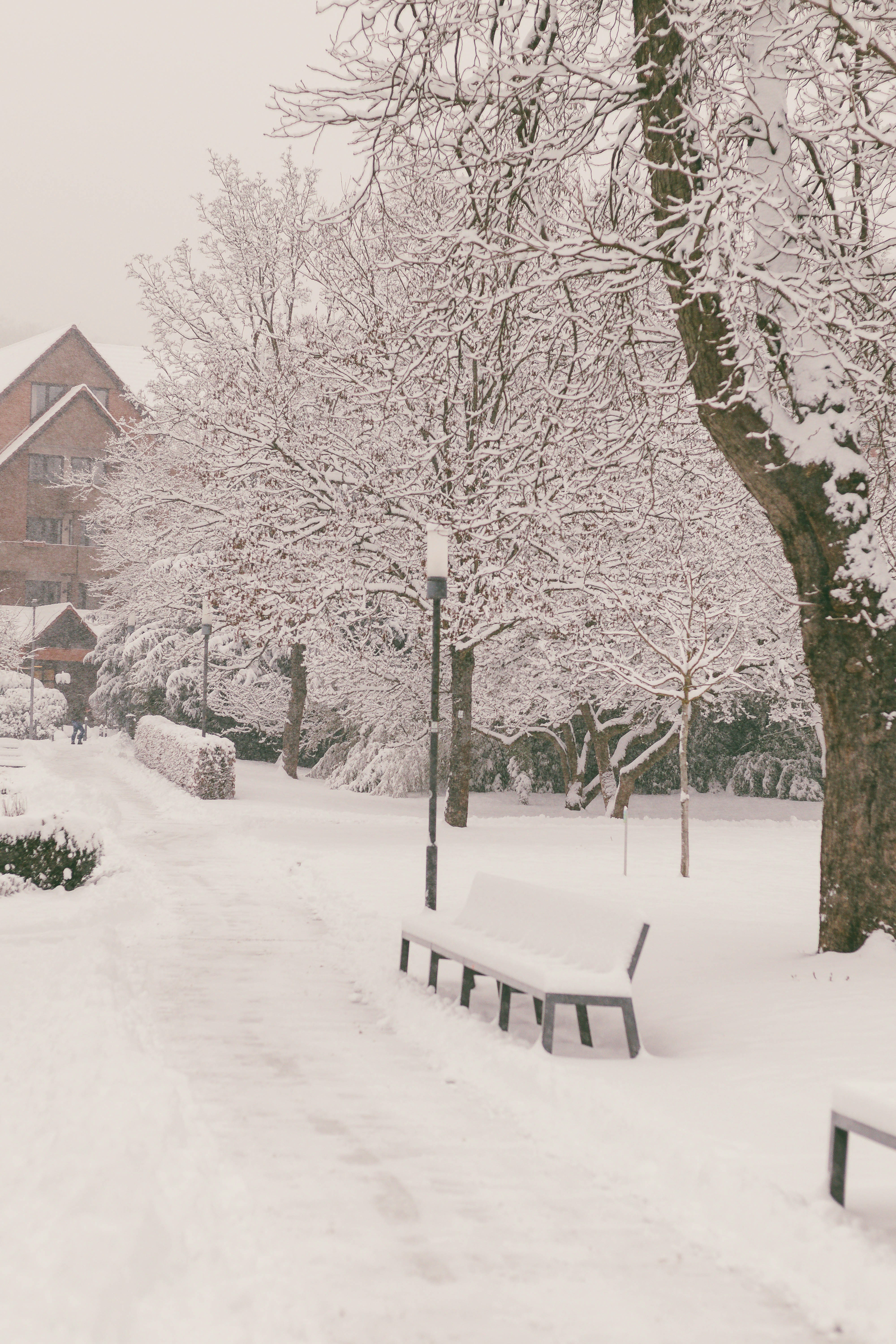 Photo by arlindphotography