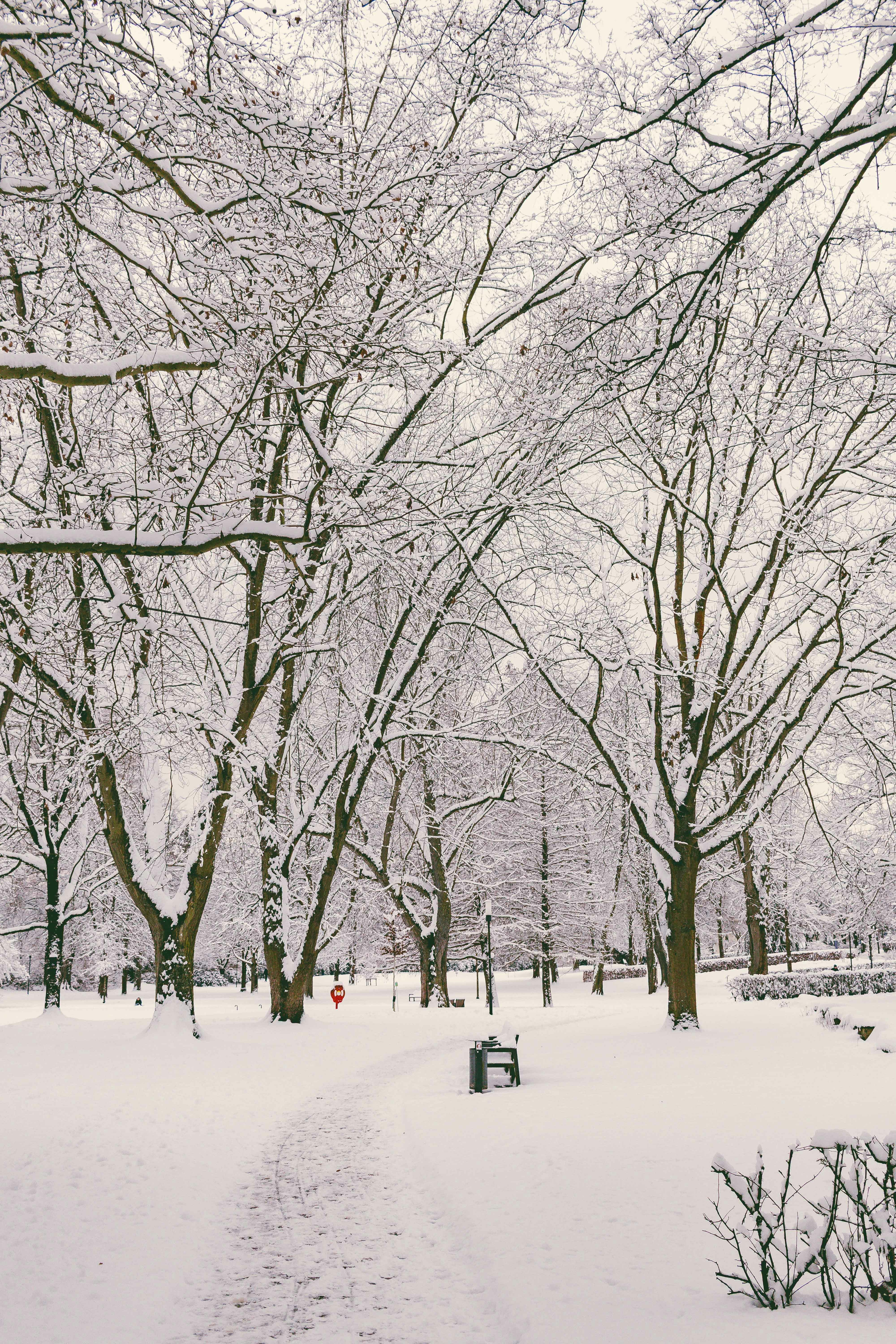 Photo by arlindphotography