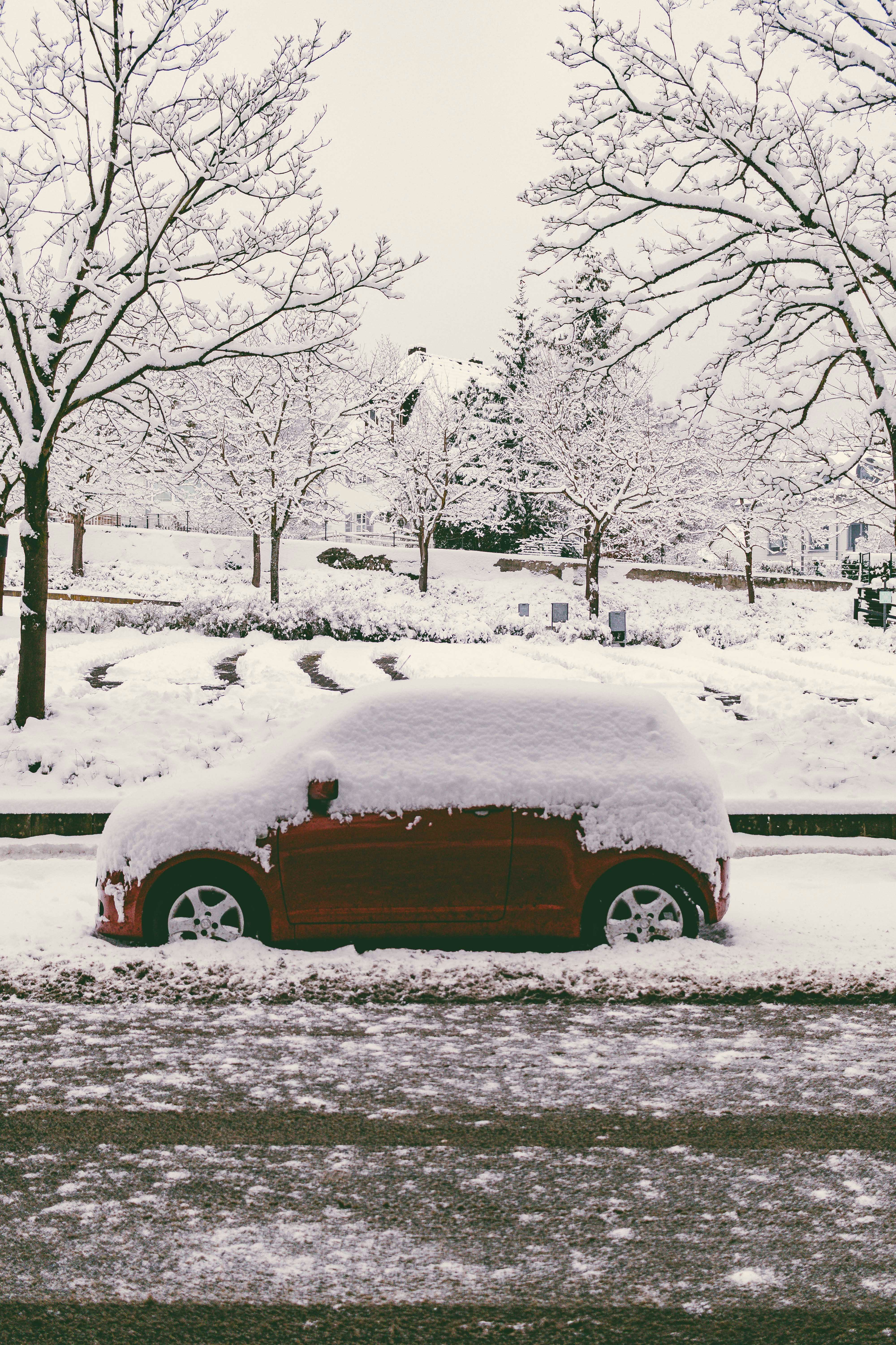 Photo by arlindphotography