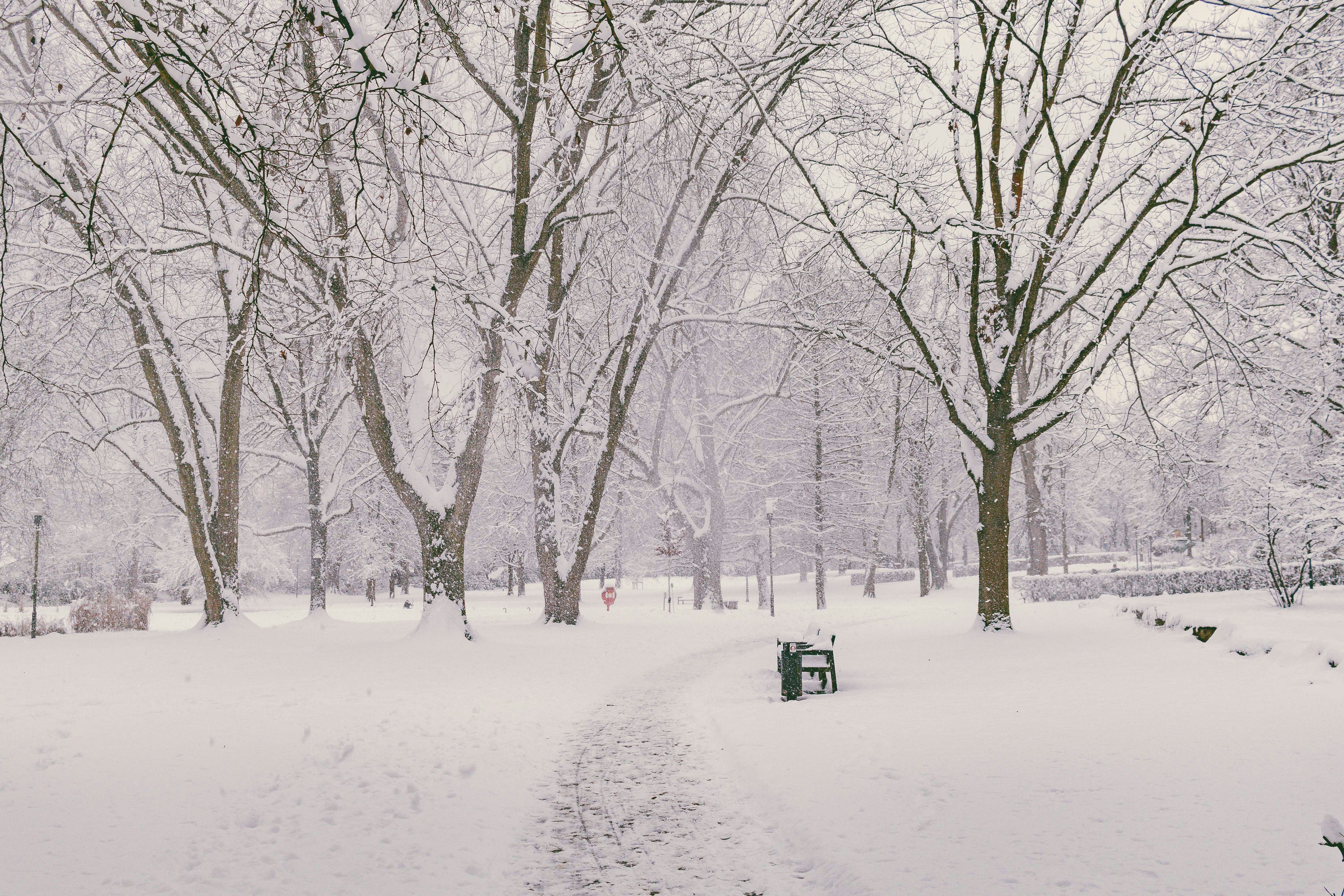 Photo by arlindphotography