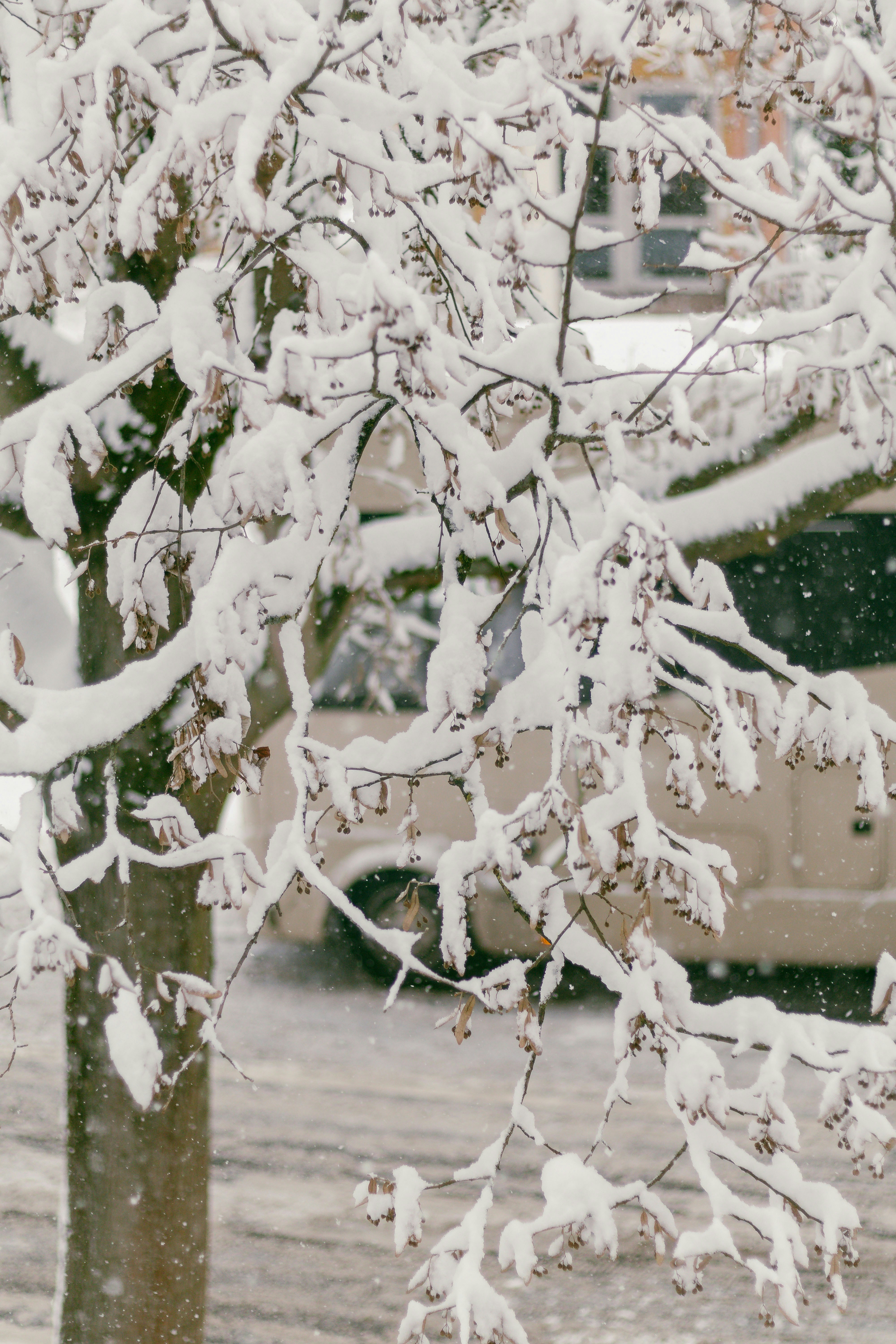 Photo by arlindphotography