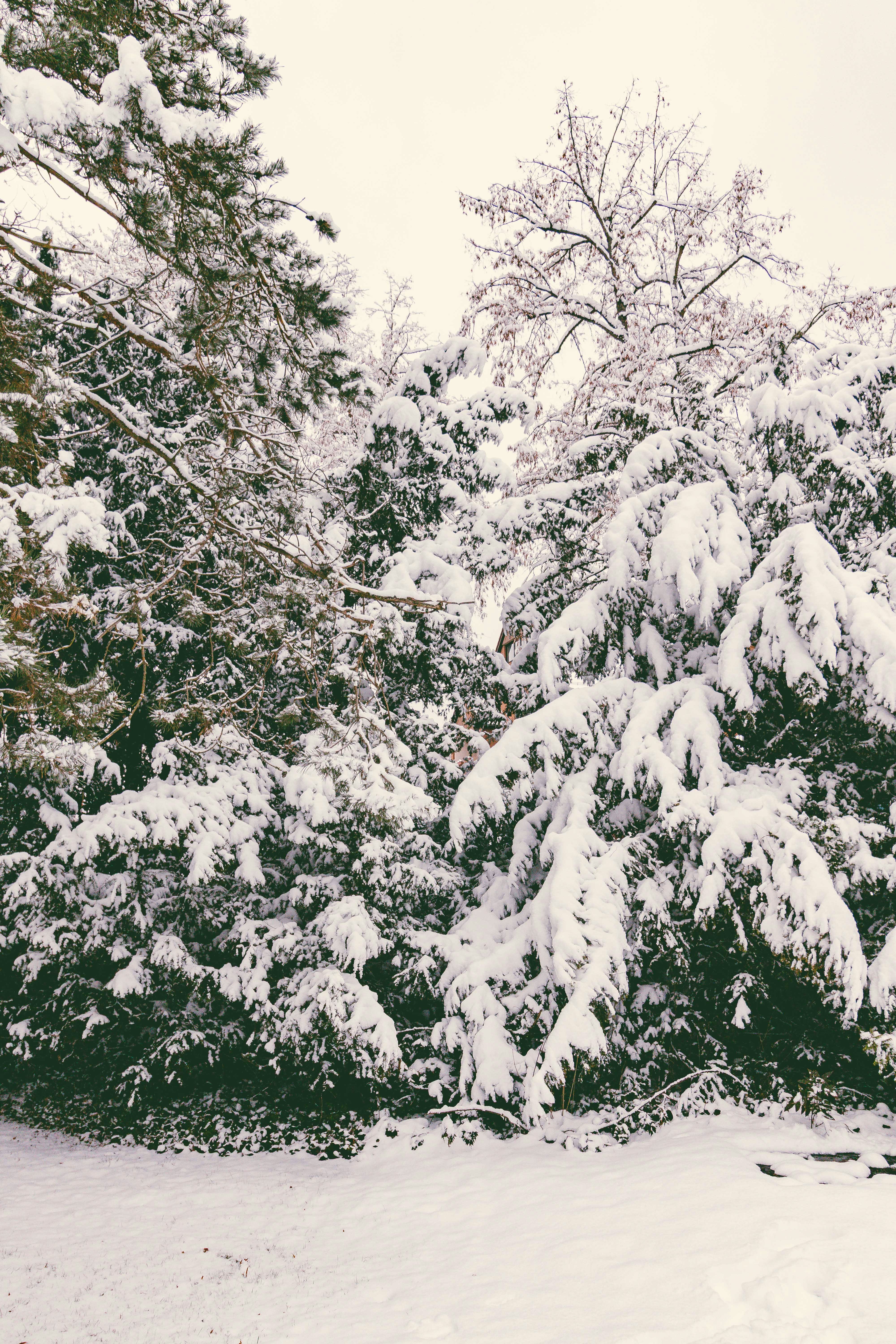 Photo by arlindphotography