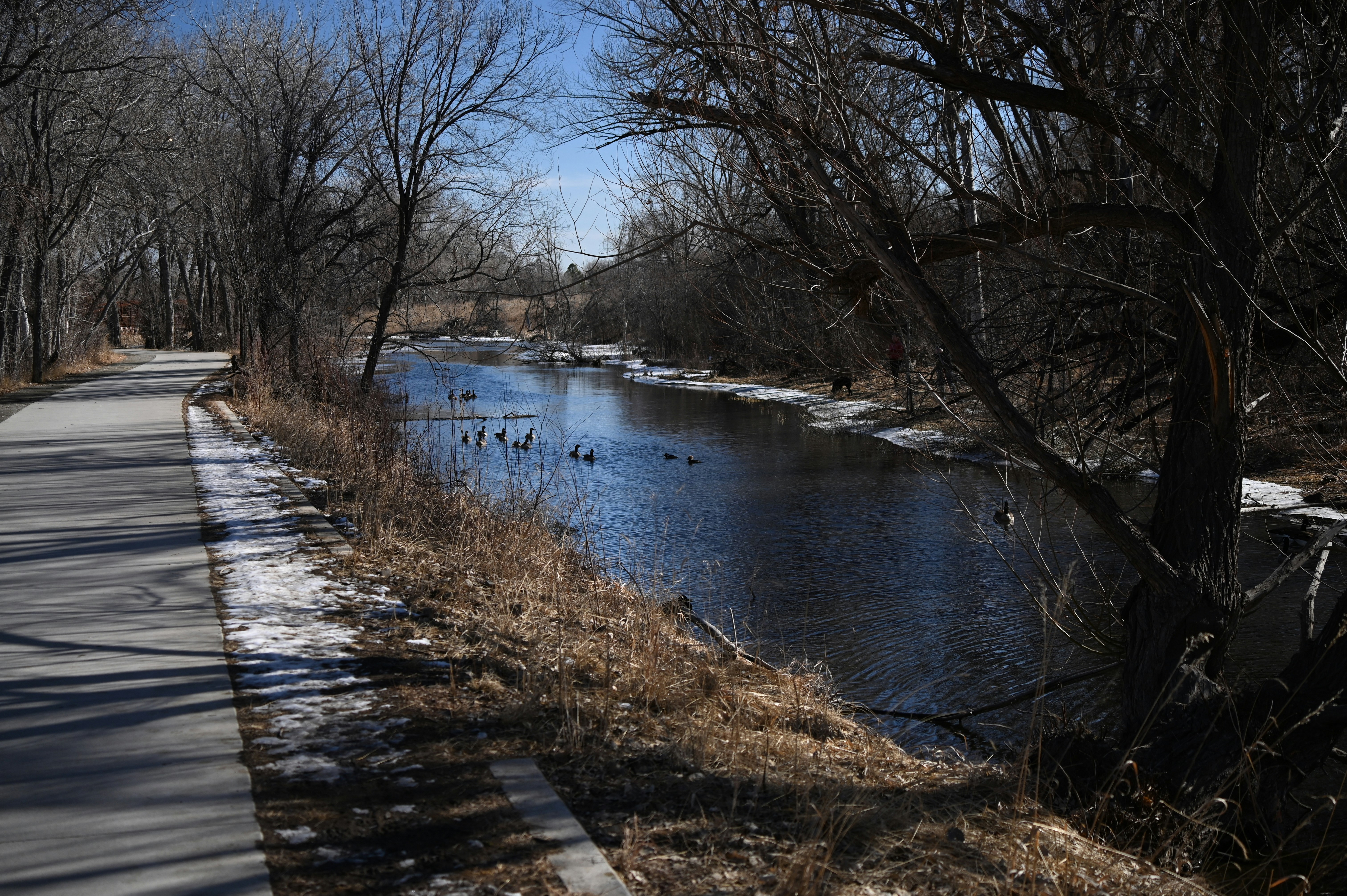 Cover Image for Walking Meditation