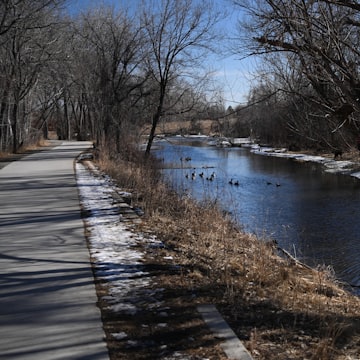 Cover Image for Walking Meditation