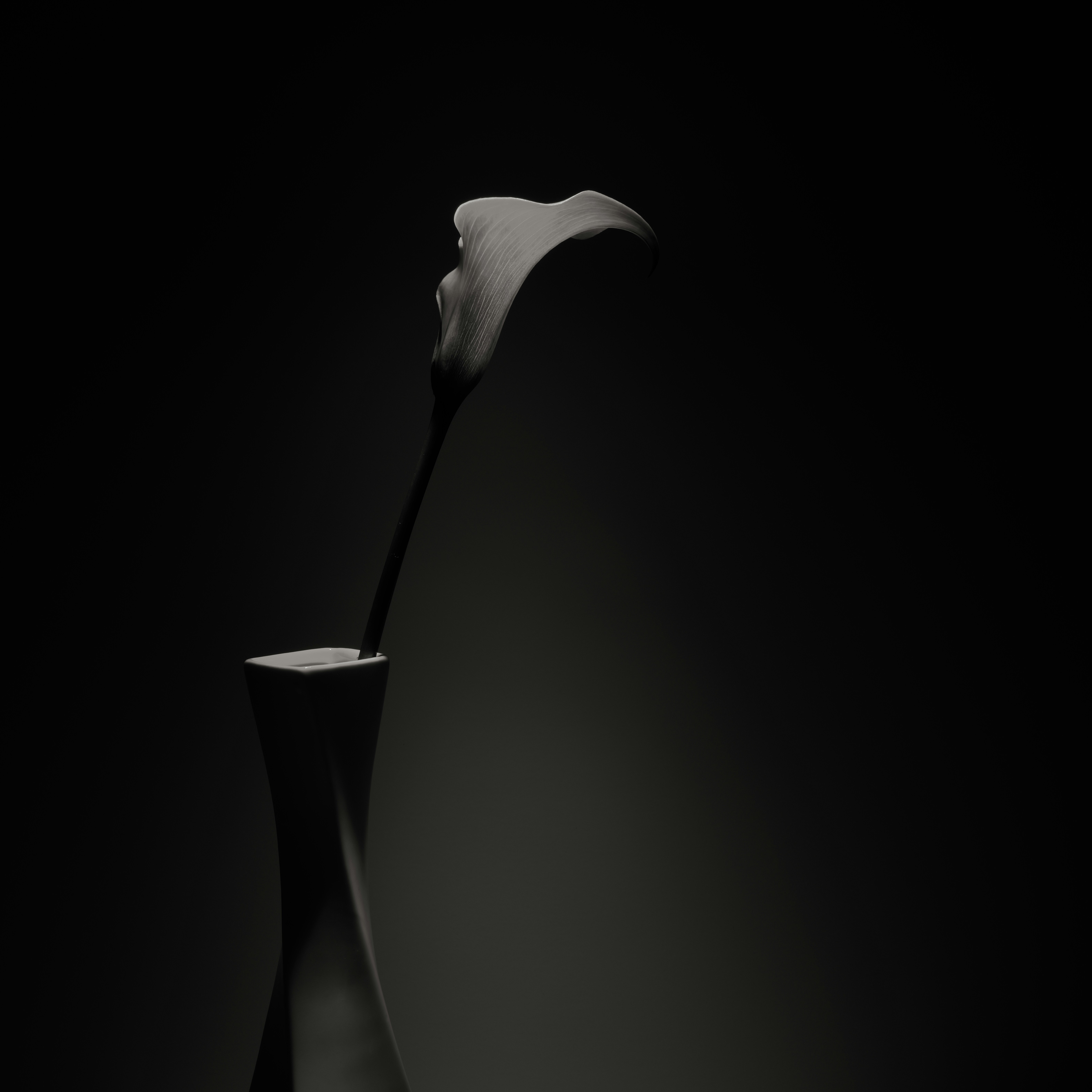 Photo by thephotochad