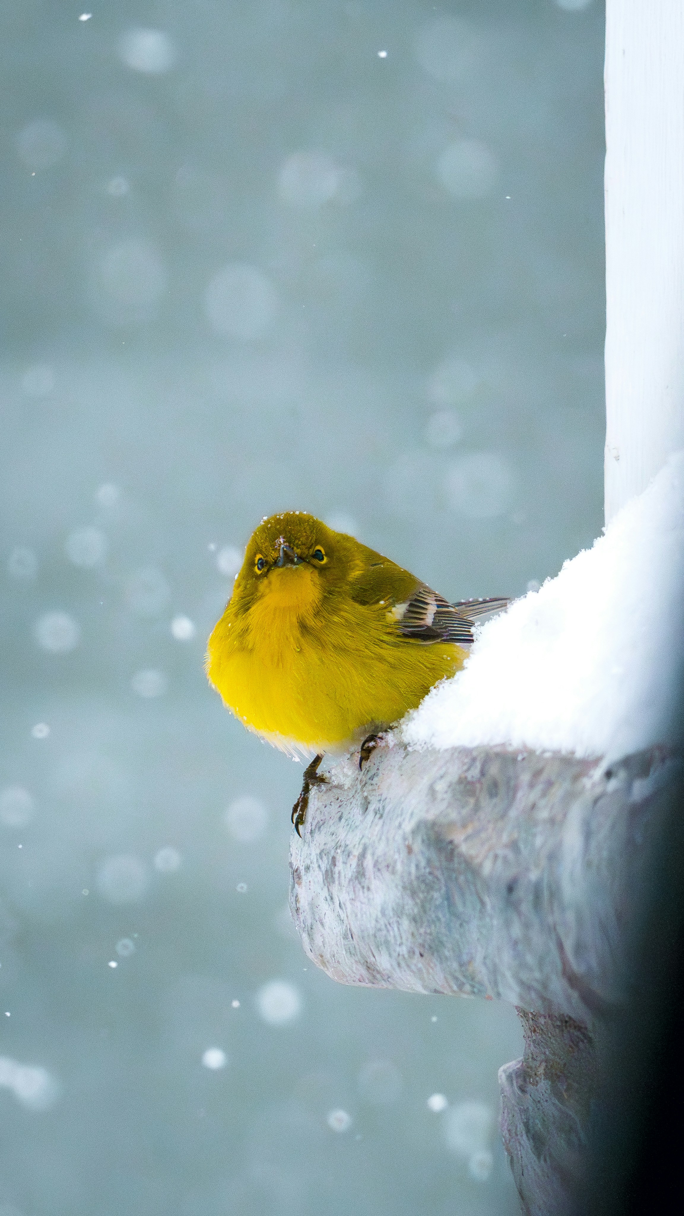 Photo by caseycalhoun