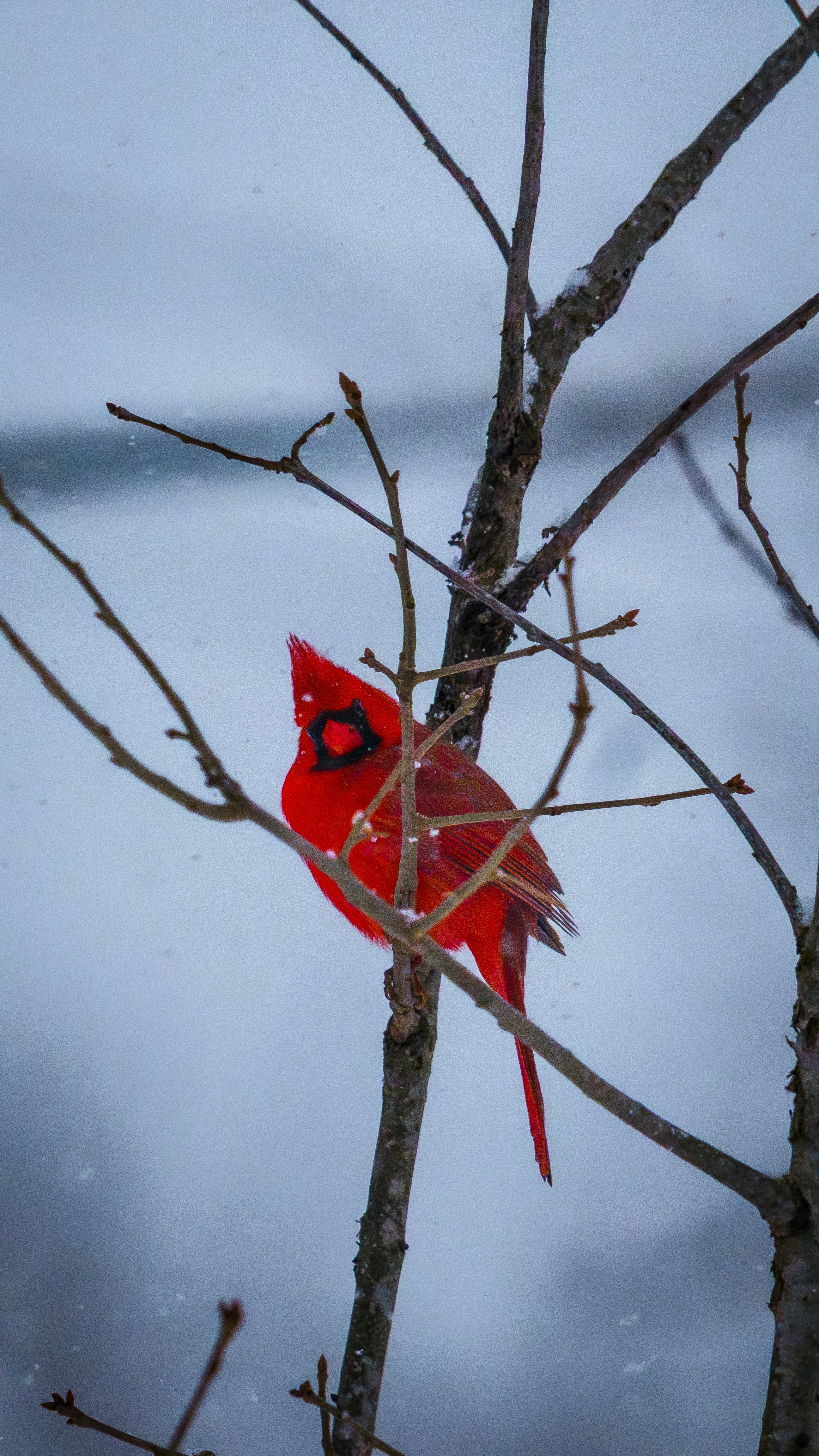 Photo by caseycalhoun