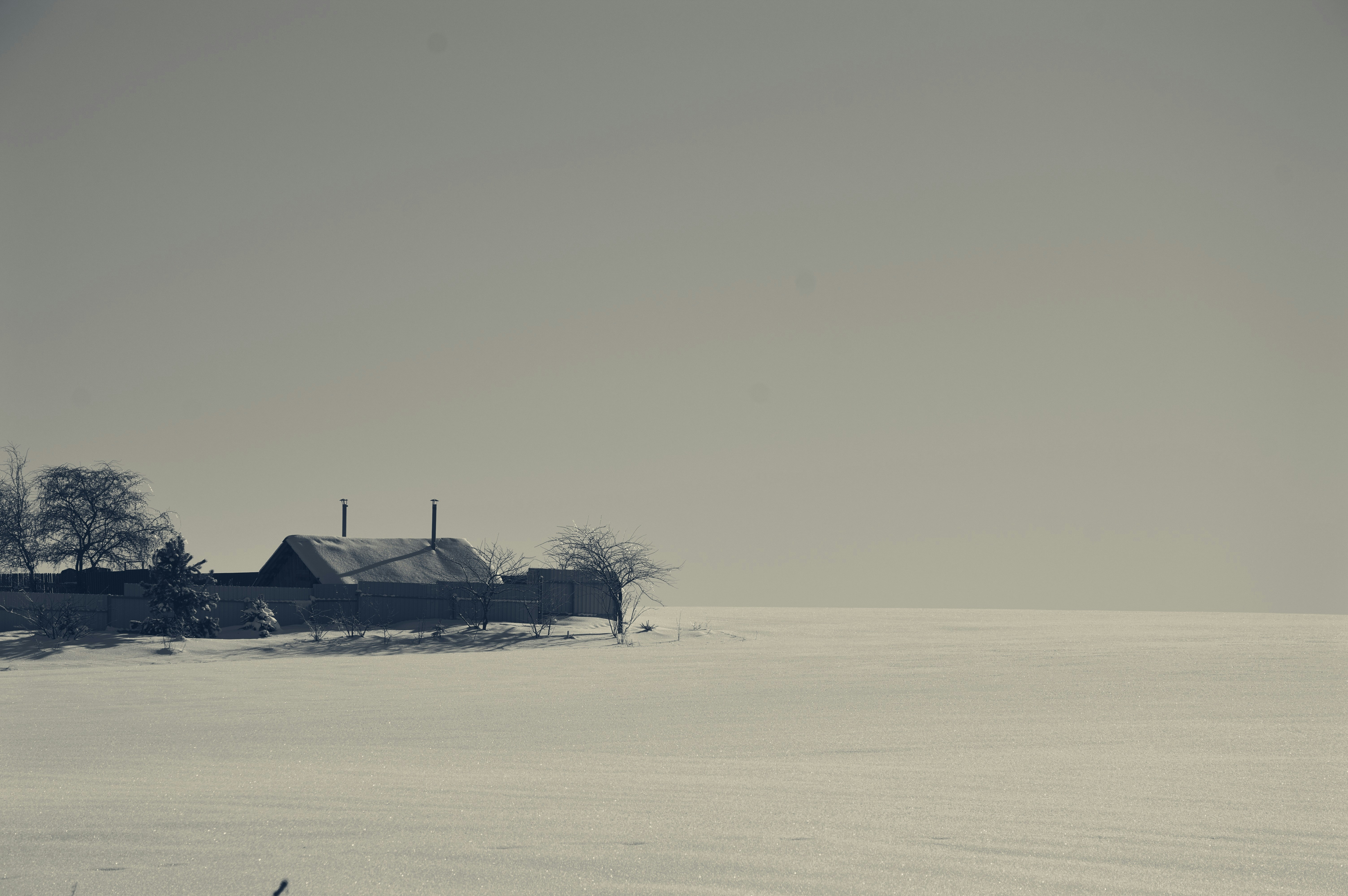 Photo by beauty_is_everywhere