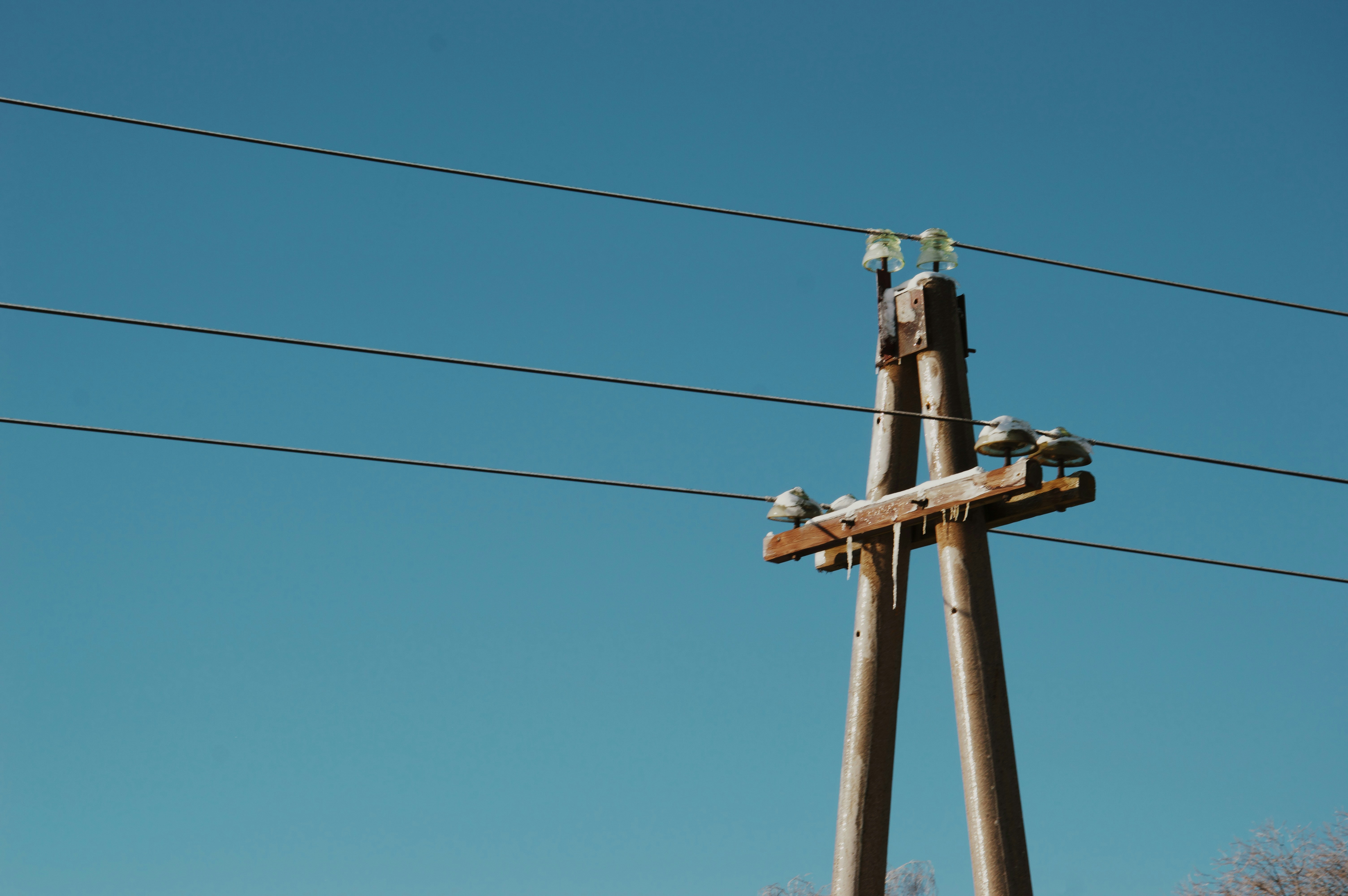 Photo by beauty_is_everywhere