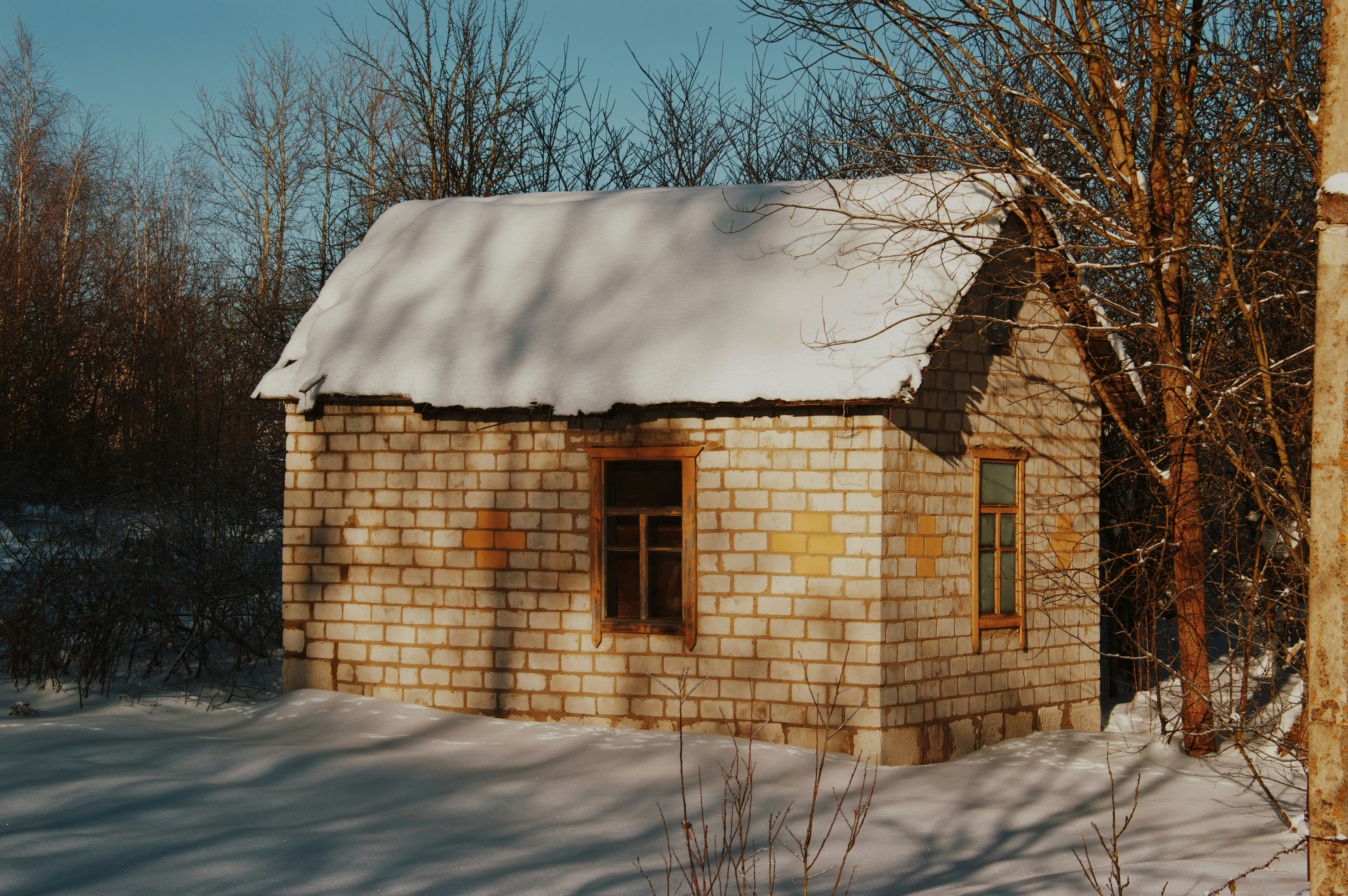 Photo by beauty_is_everywhere