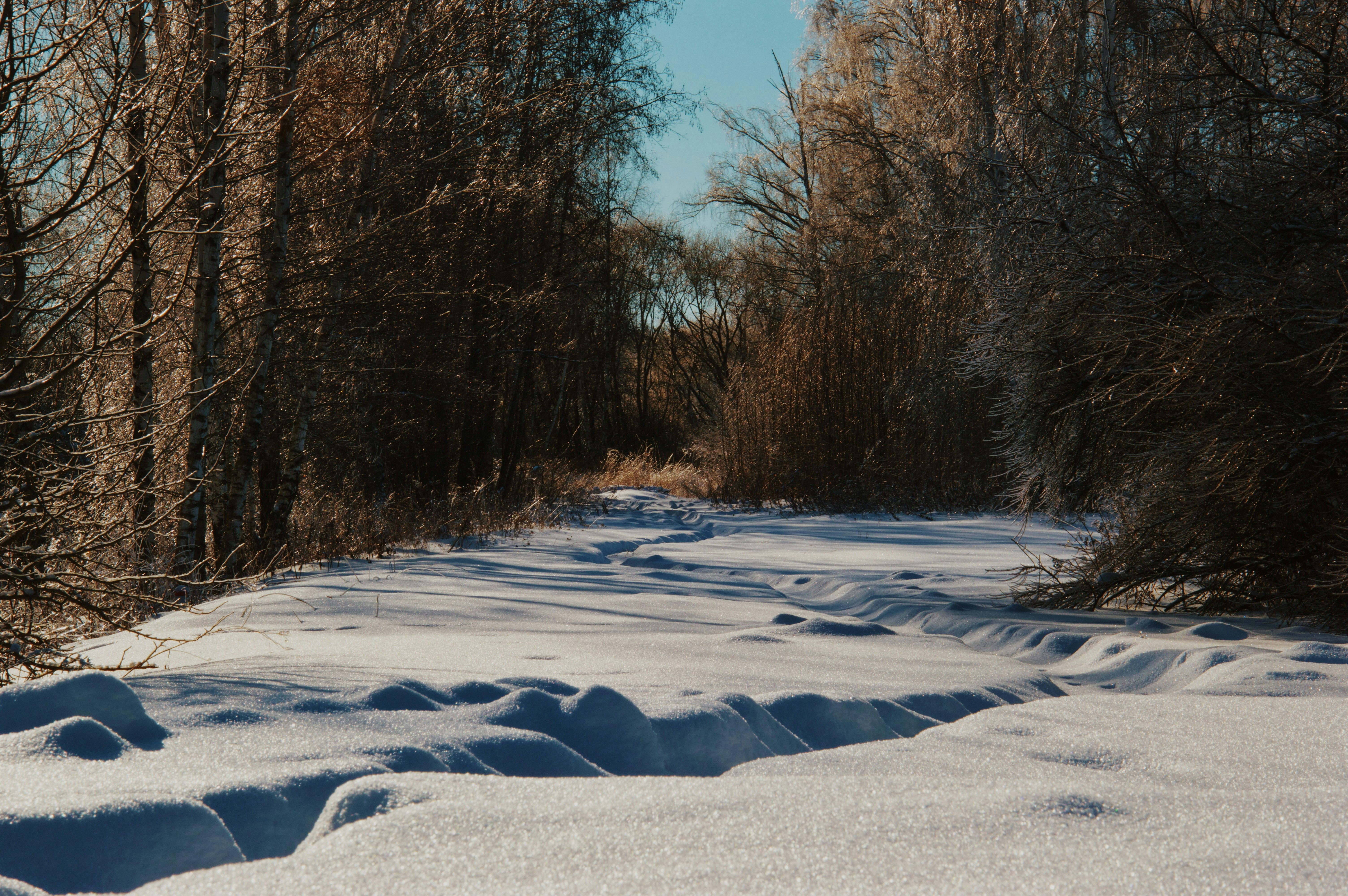 Photo by beauty_is_everywhere