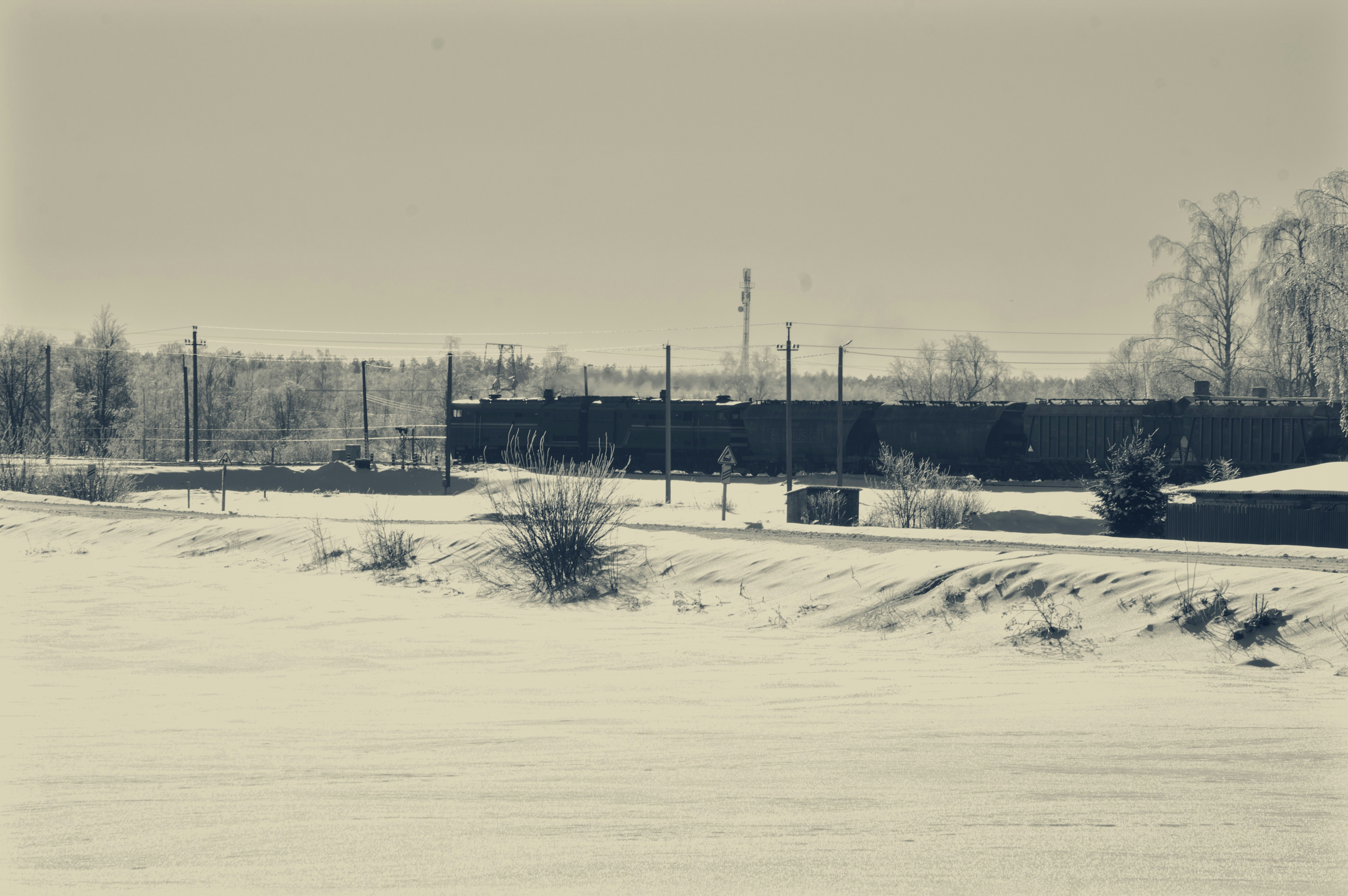 Photo by beauty_is_everywhere