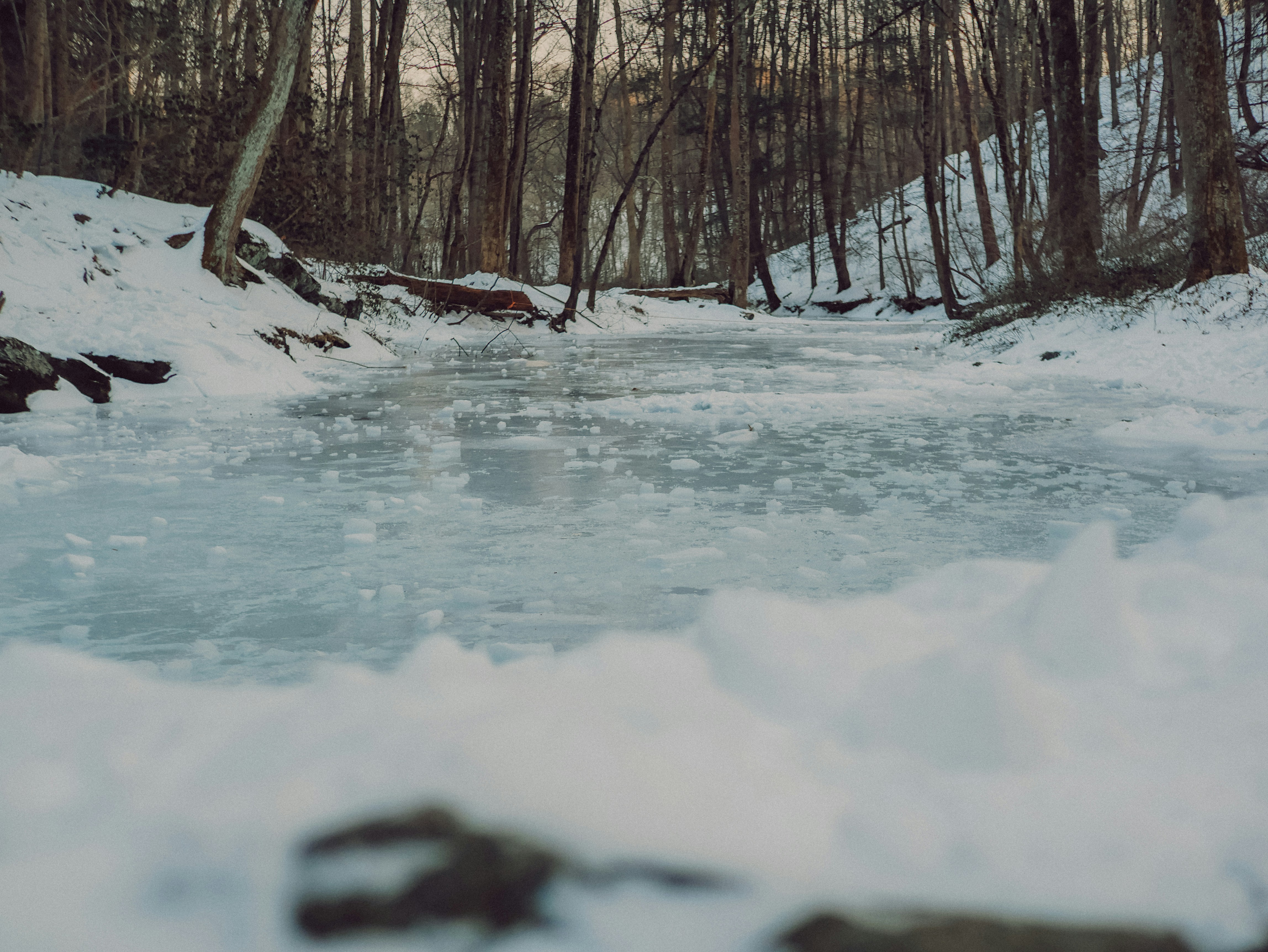 Photo by michaeleufemia