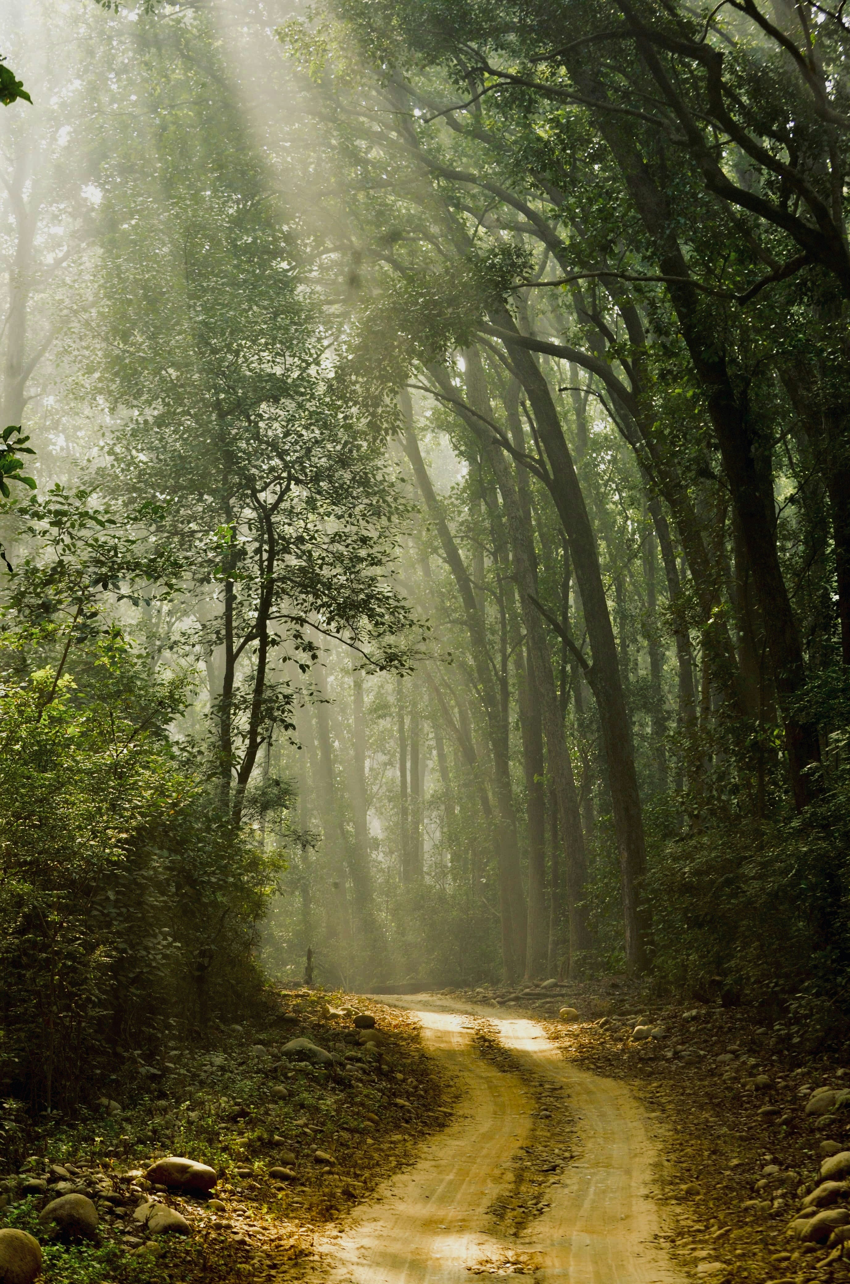 Photo by omkar_fcb1899