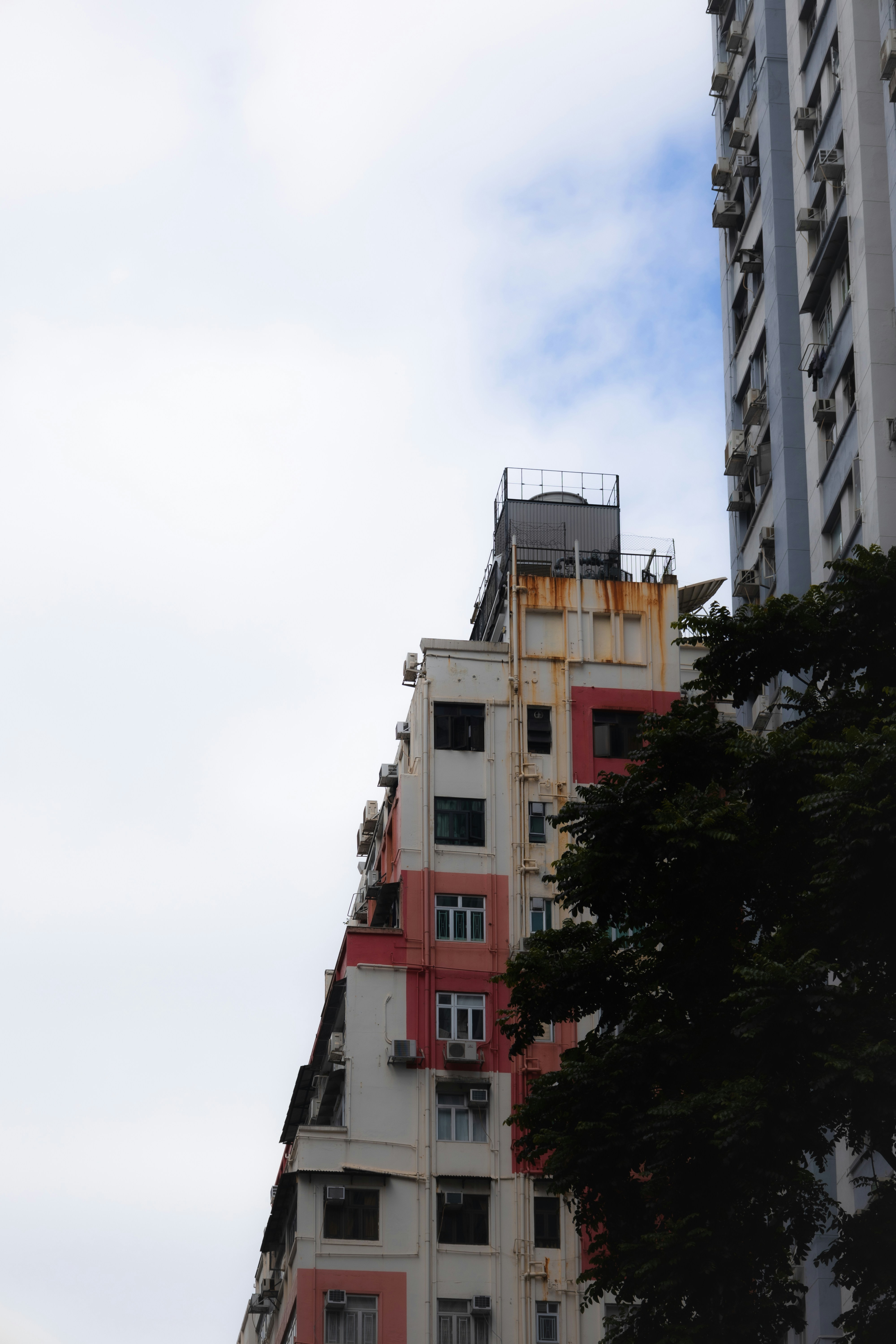 Edificios de apartamentos con un árbol en primer plano