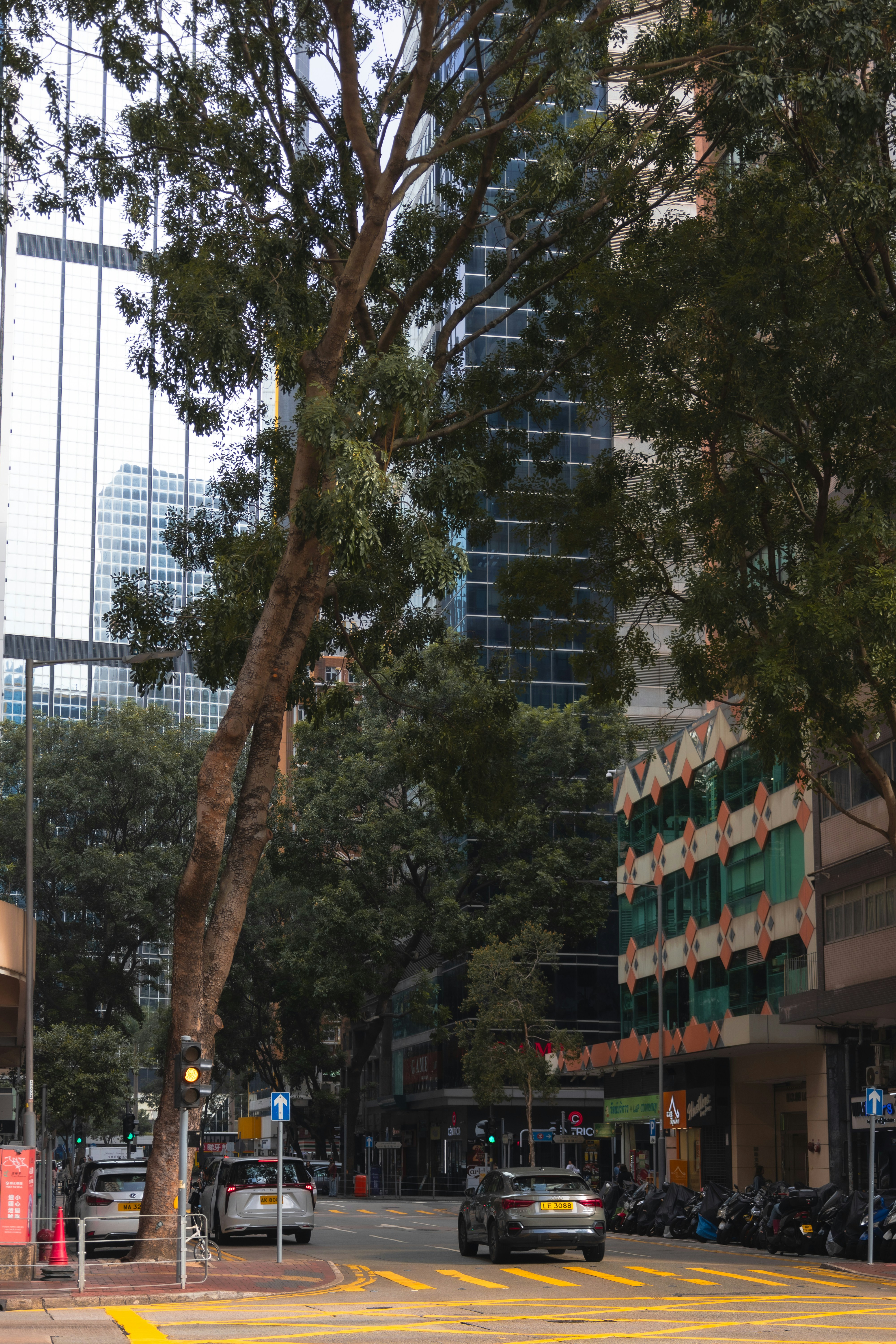 Photo by vincentyuan87