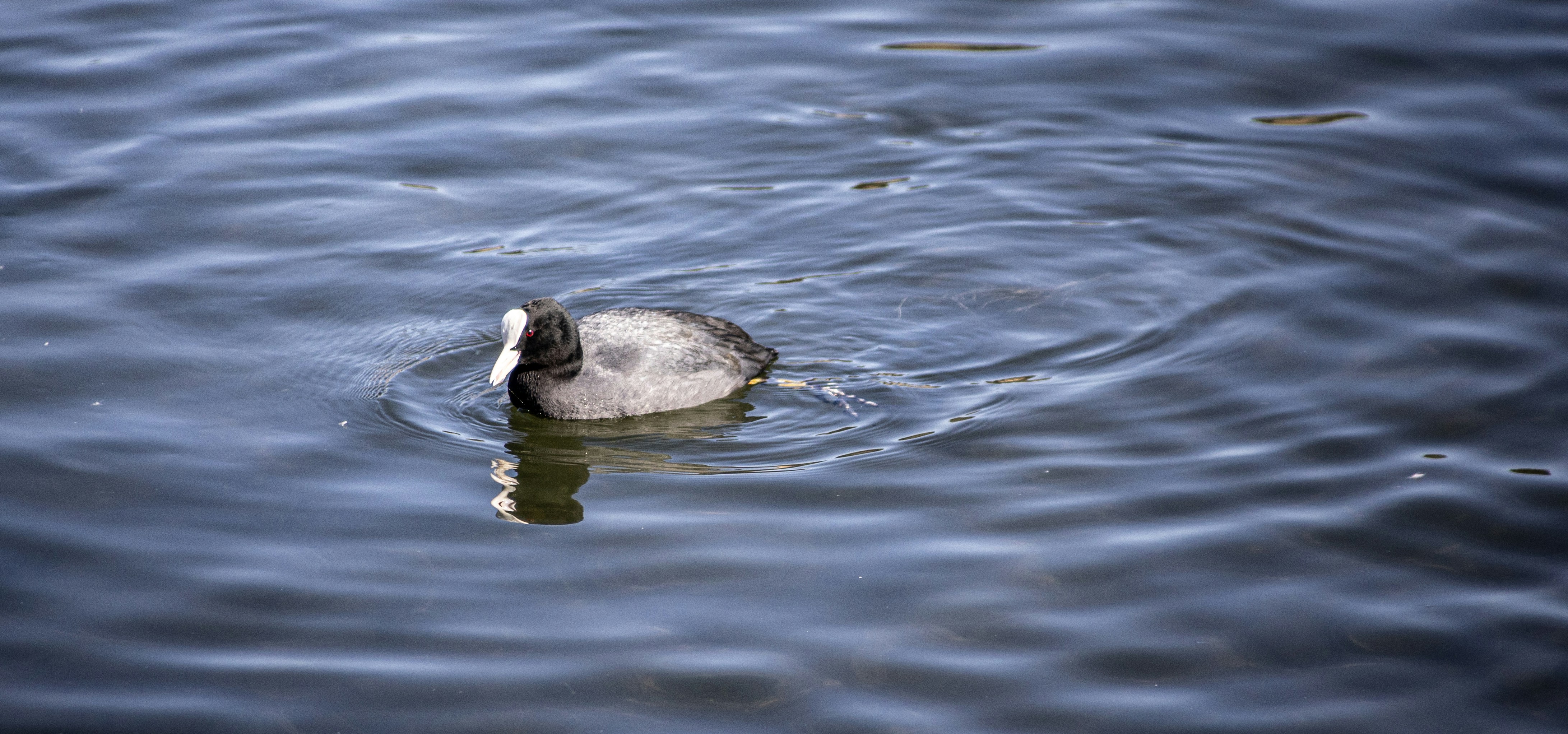 Photo by wu_hua_jiang