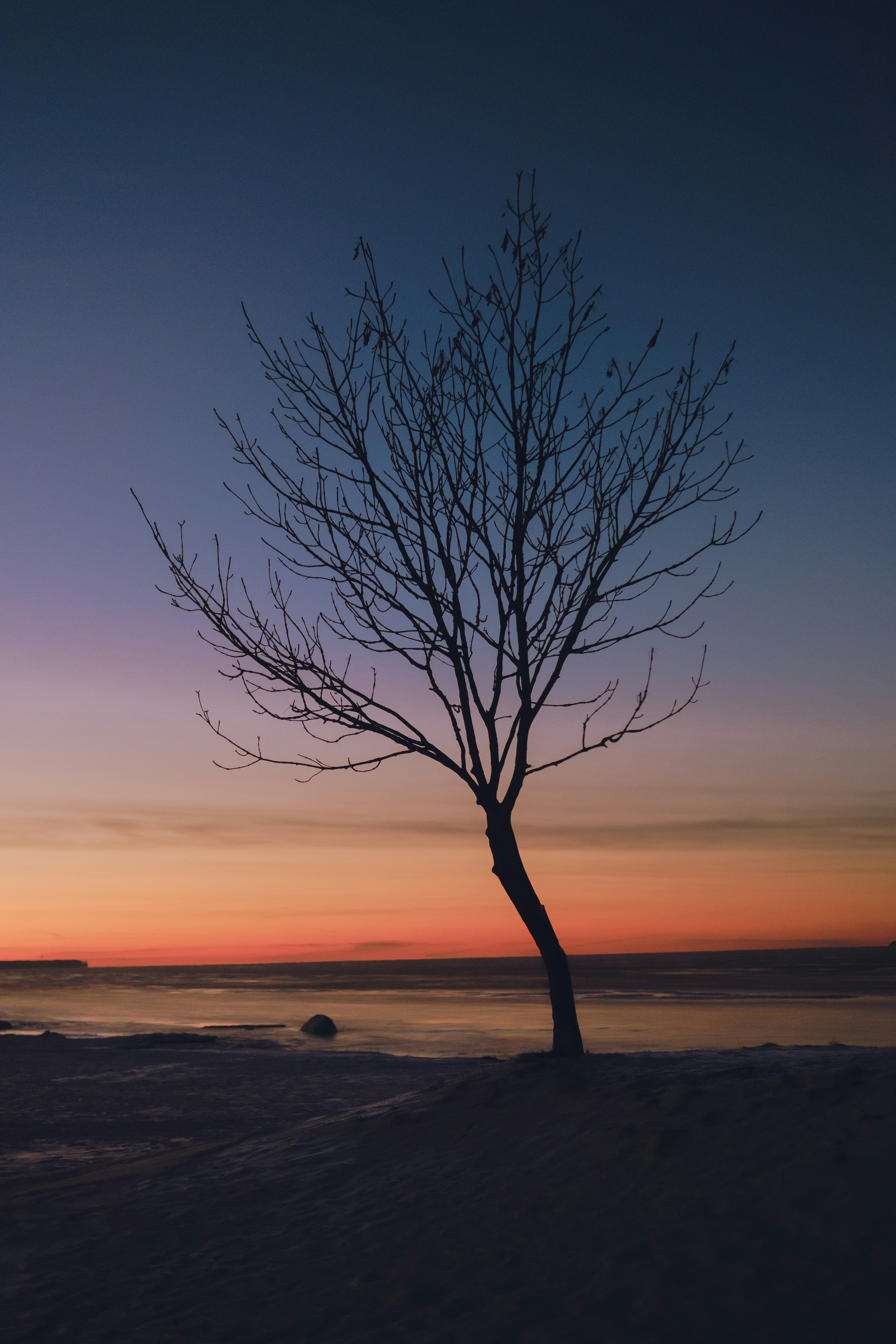 Photo by sunify