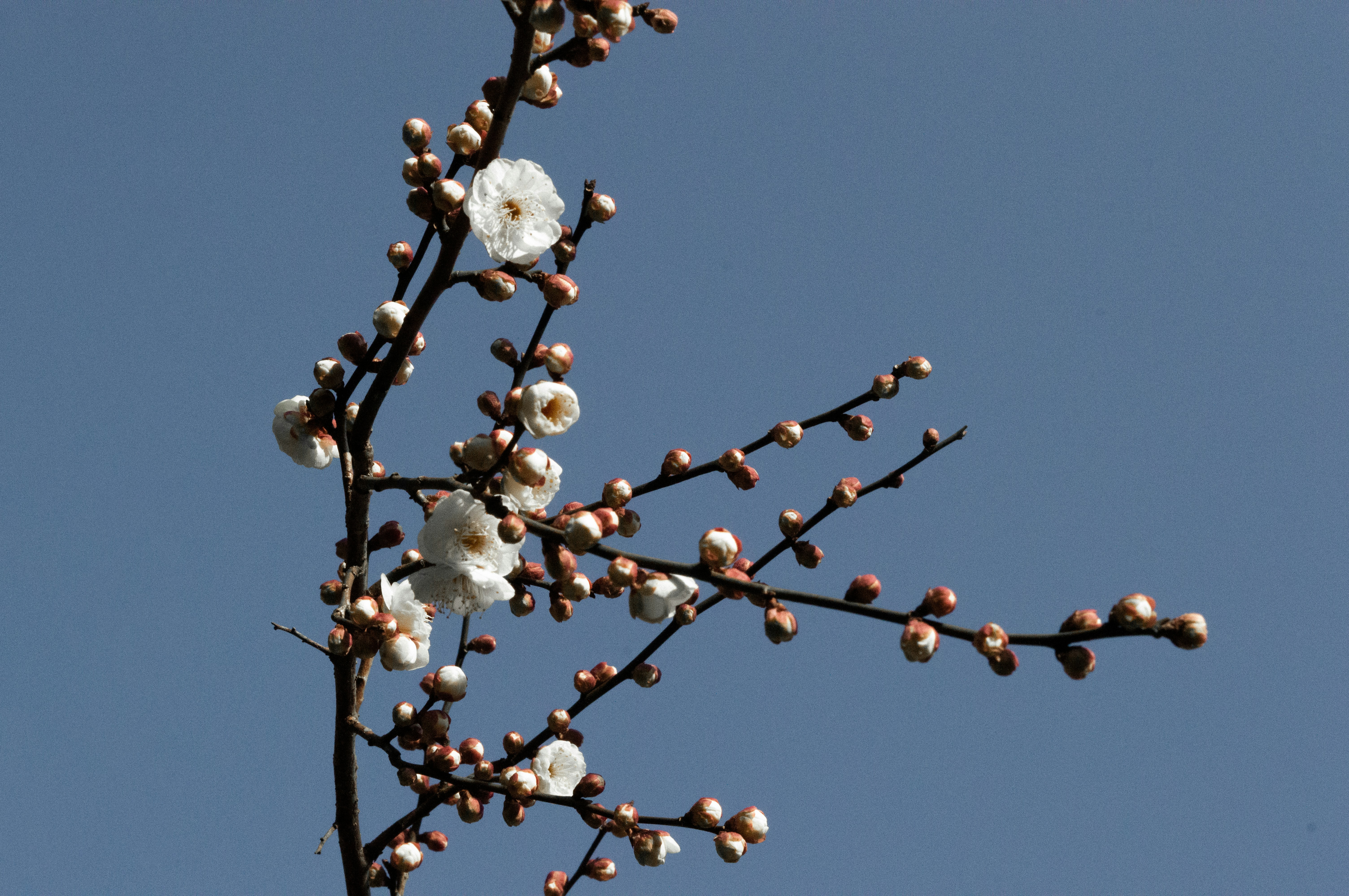 Photo by xiakuangkuang