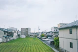 Suburban street with houses and a green field