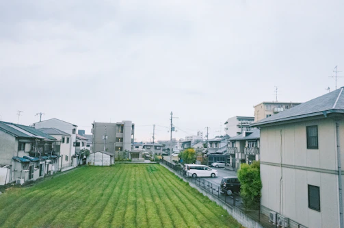 Suburban street with houses and a green field