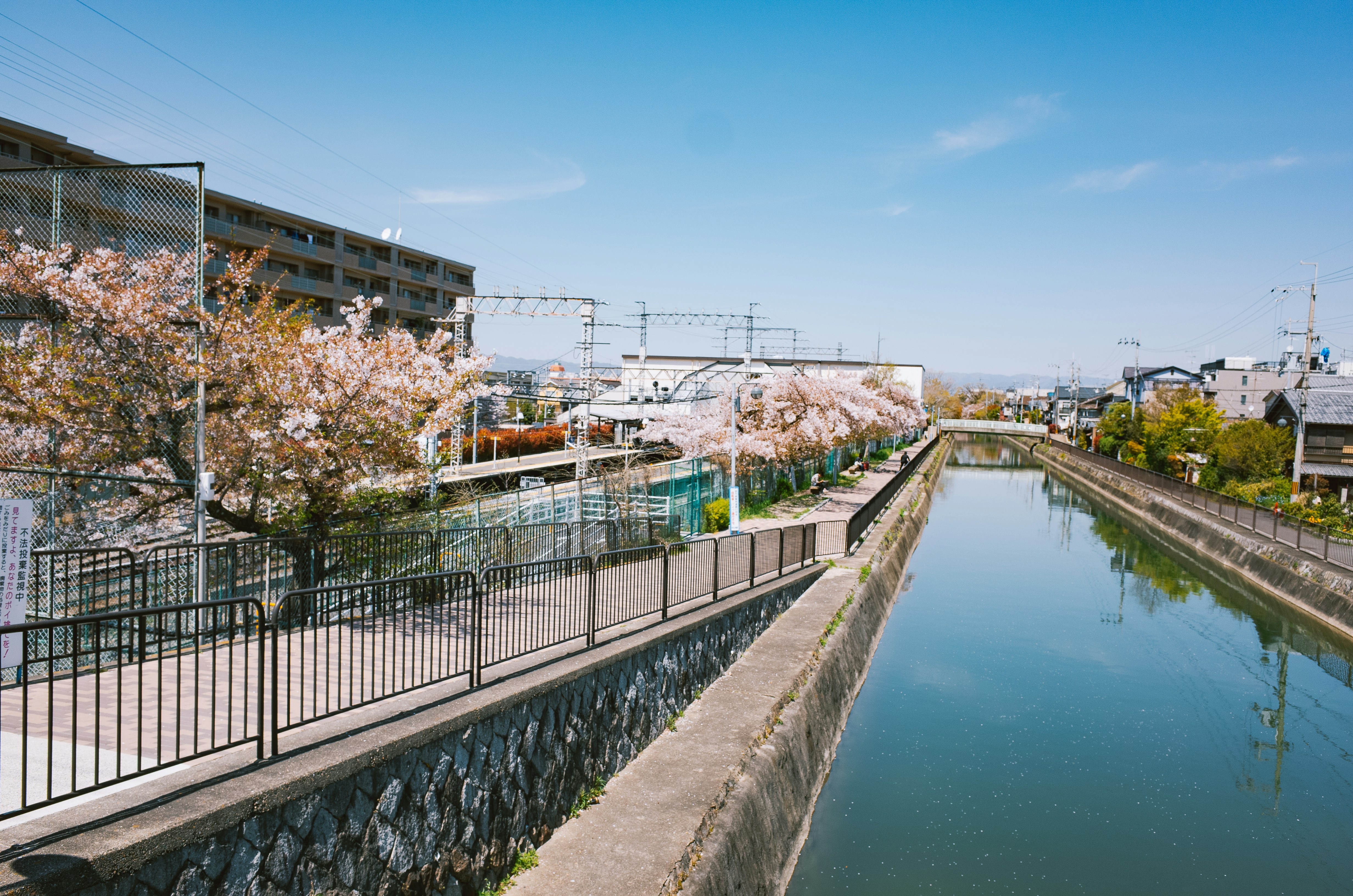 Photo by dokae