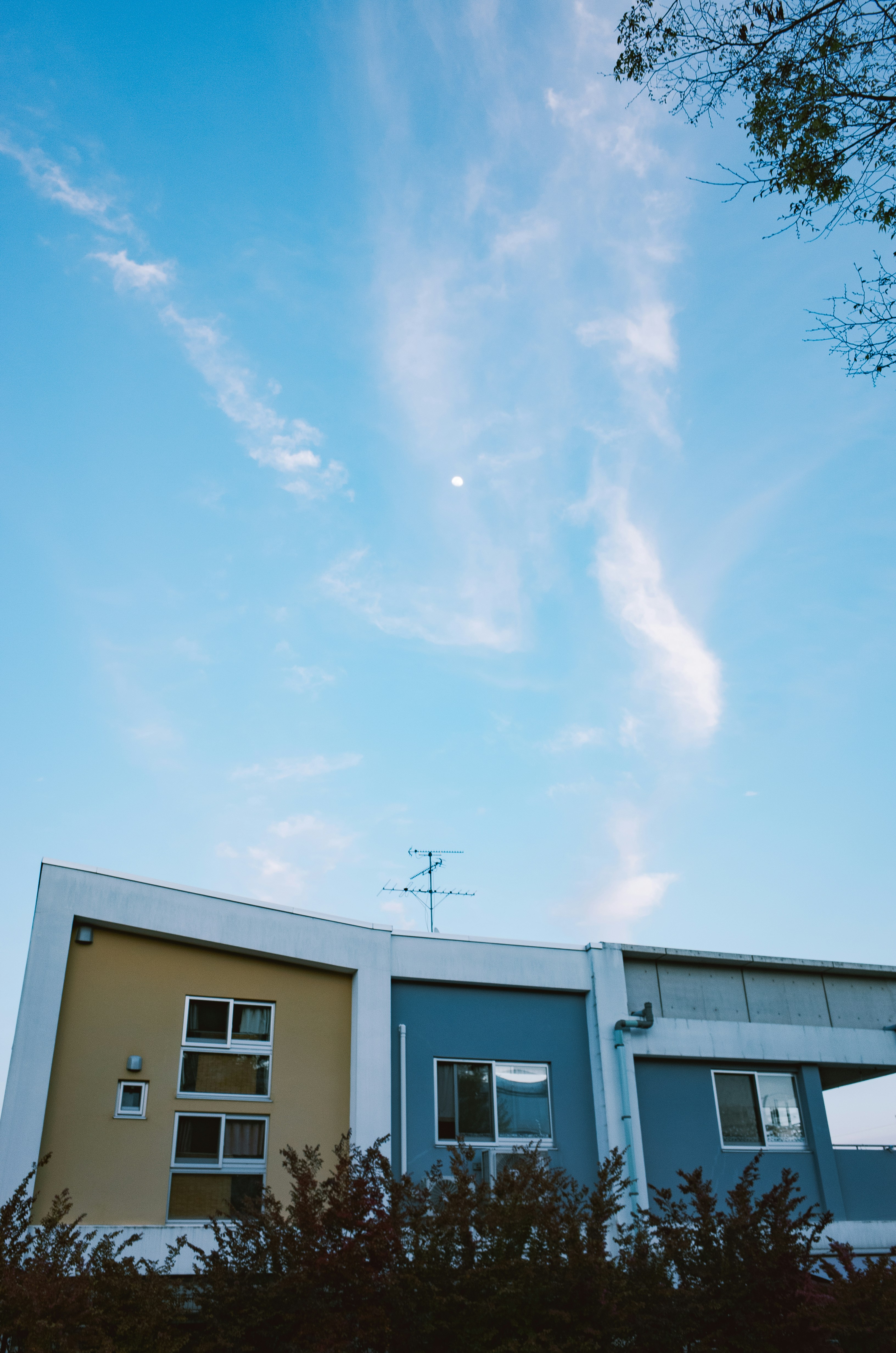 広大な青空の下、現代的な建物のファサード