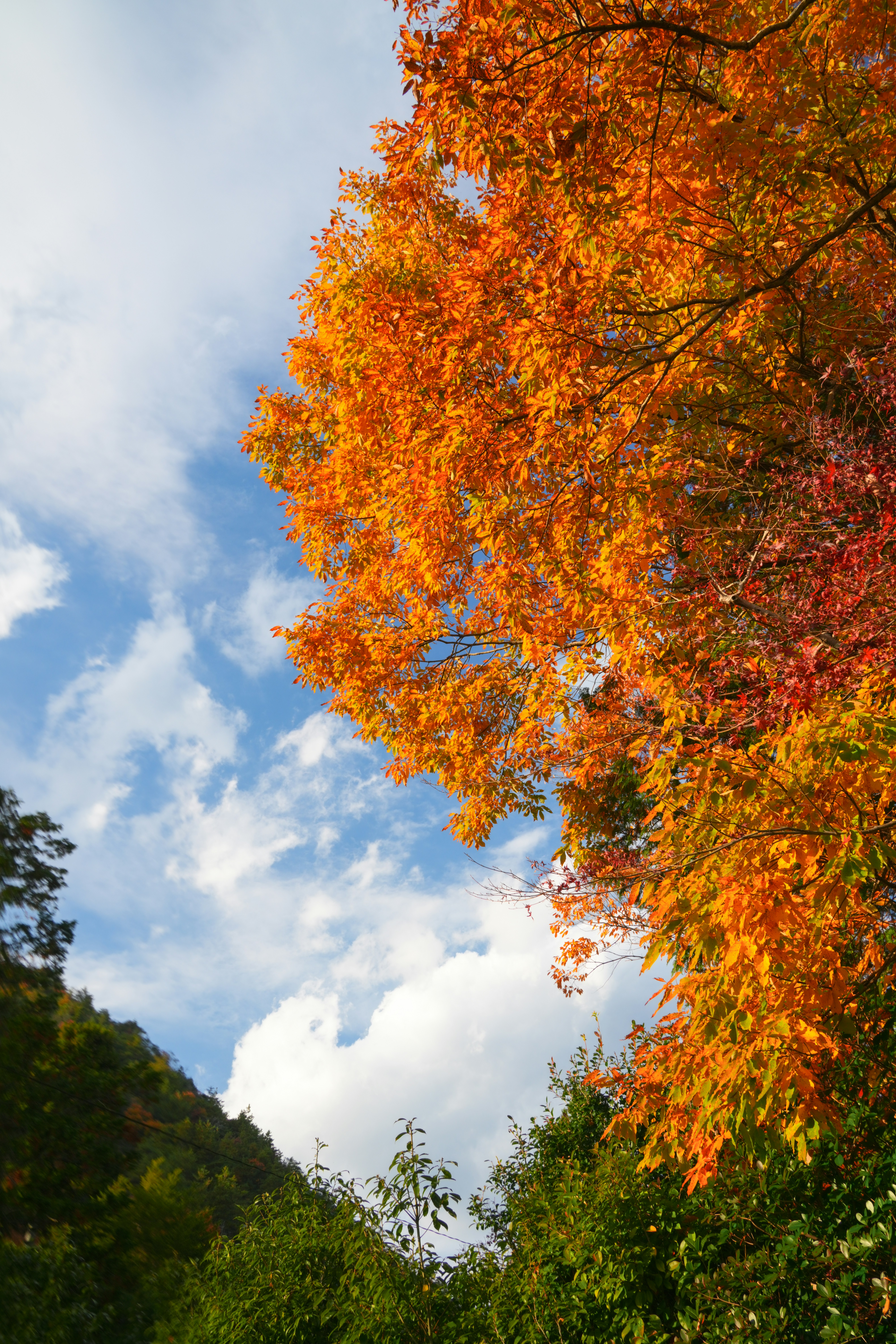 Photo by hattrick1996