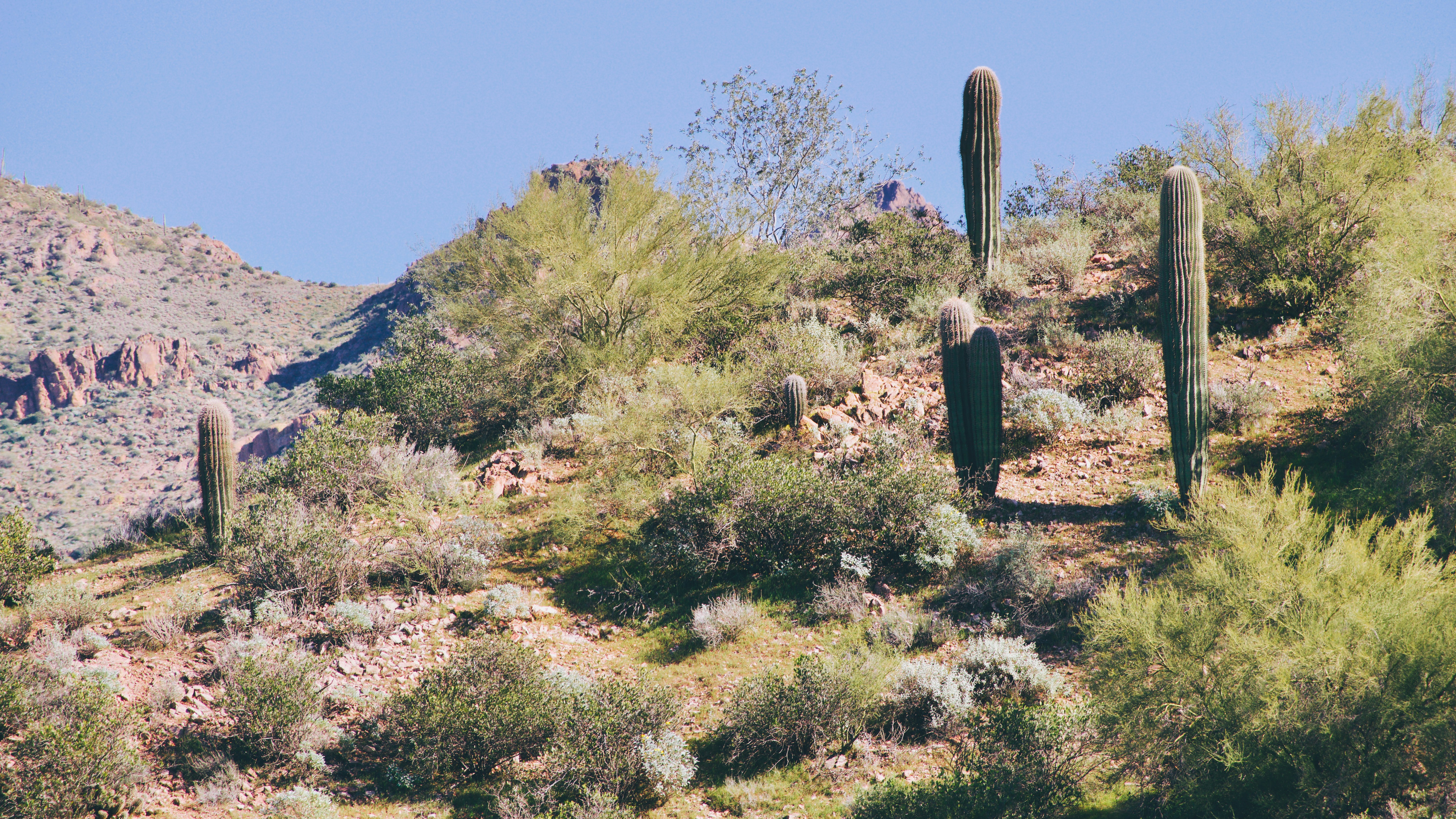 Where the Earth Speaks: Visiting the Southwest's Most Sacred Water Sources