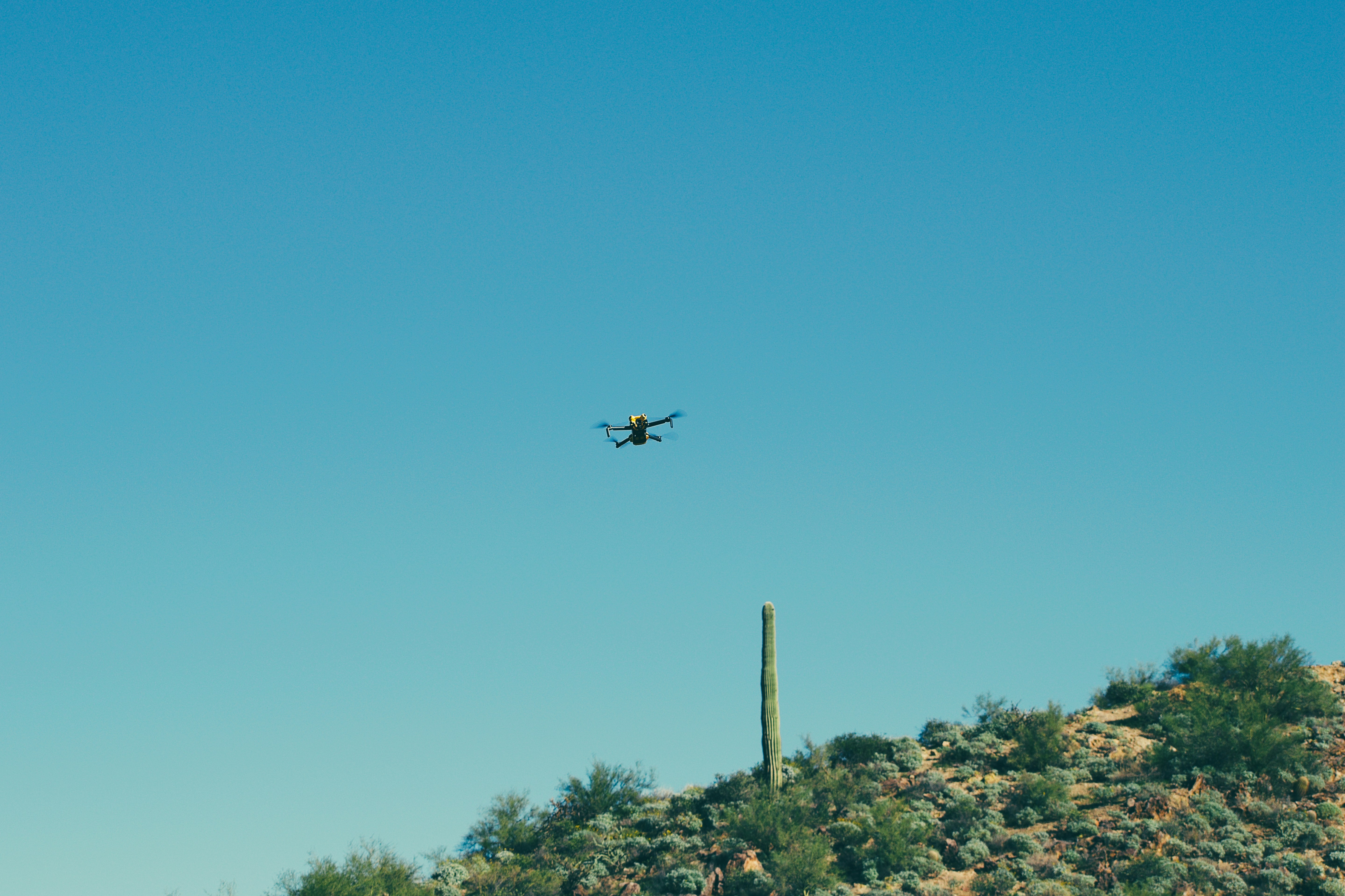 Dron volando sobre el paisaje desértico con cactus.