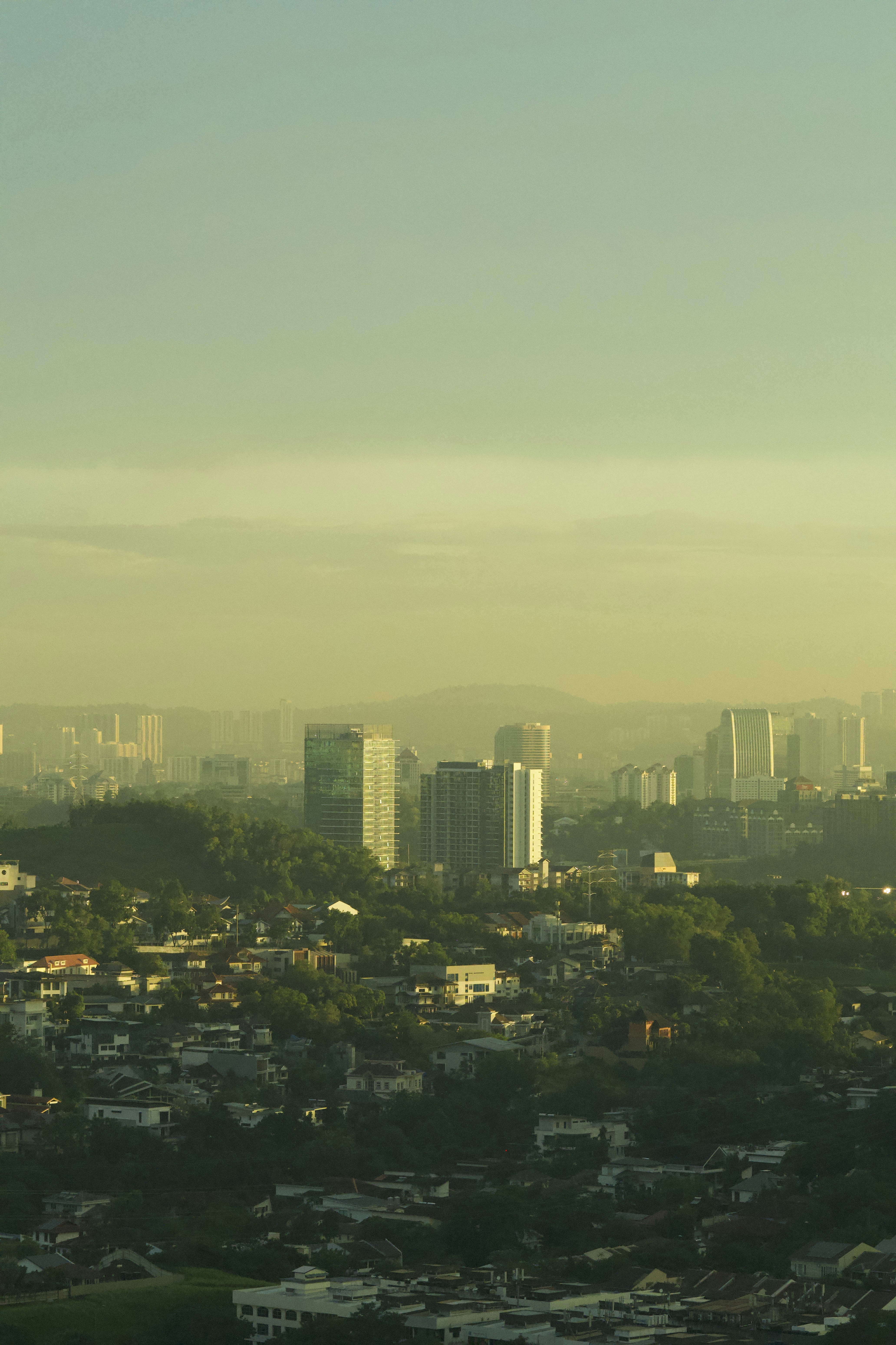 Photo by muscateer777