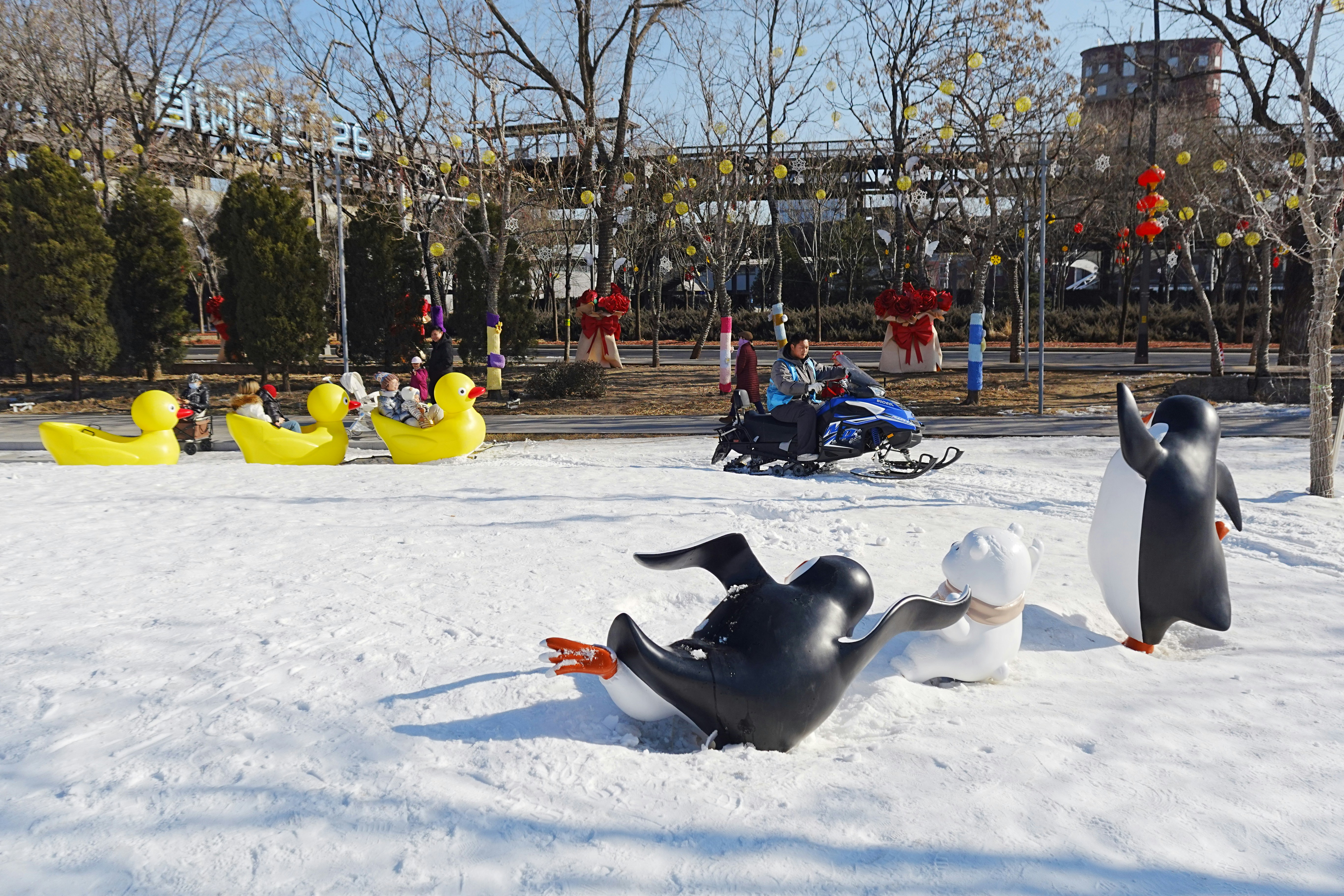 Penguin and duck sculptures in a snowy park