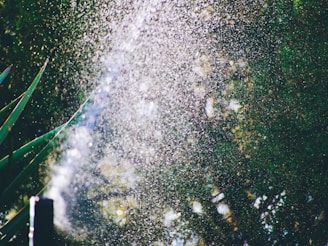Water sprinkler spraying in the air with green garden foliage in the background.