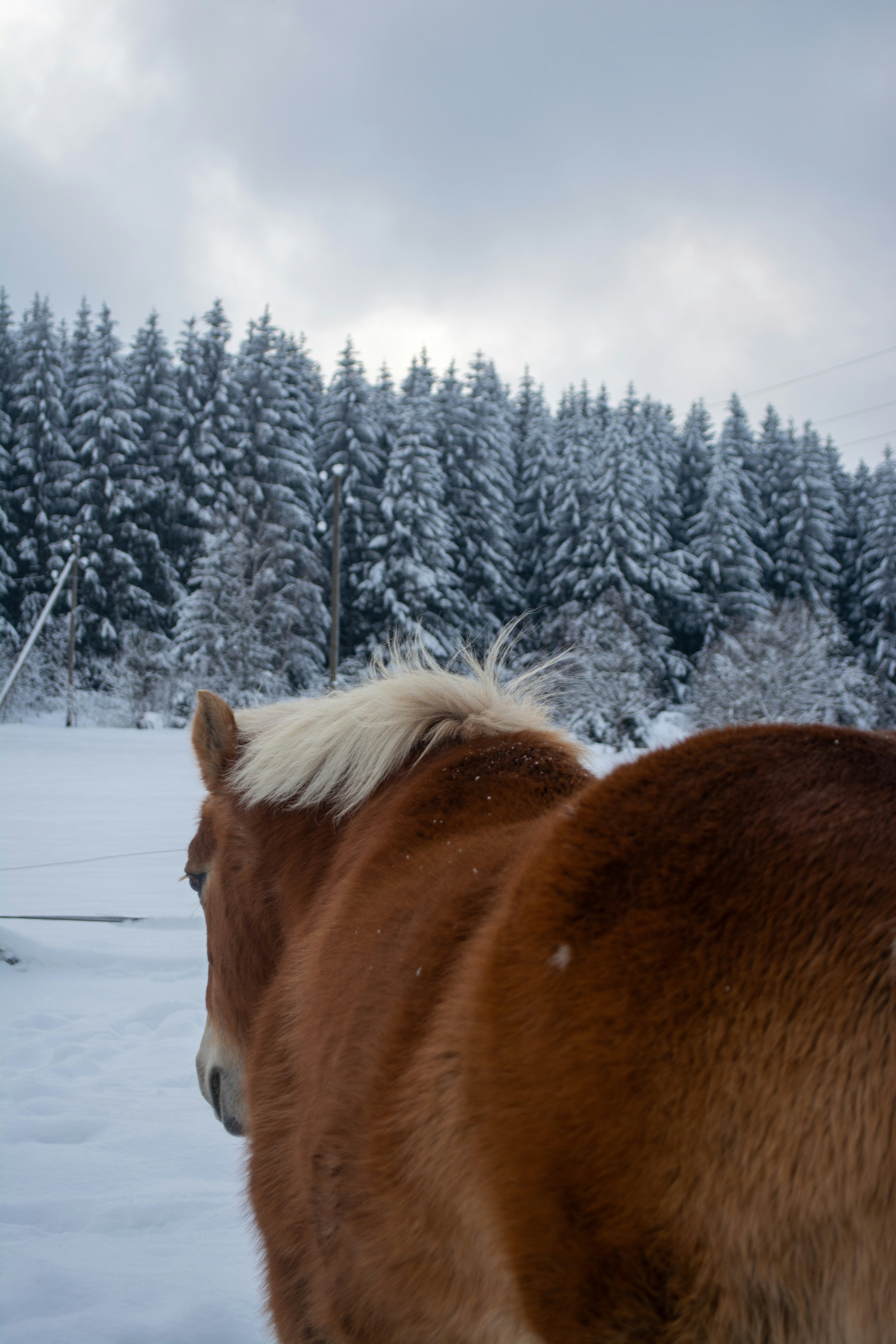 Photo by fabiankleiser