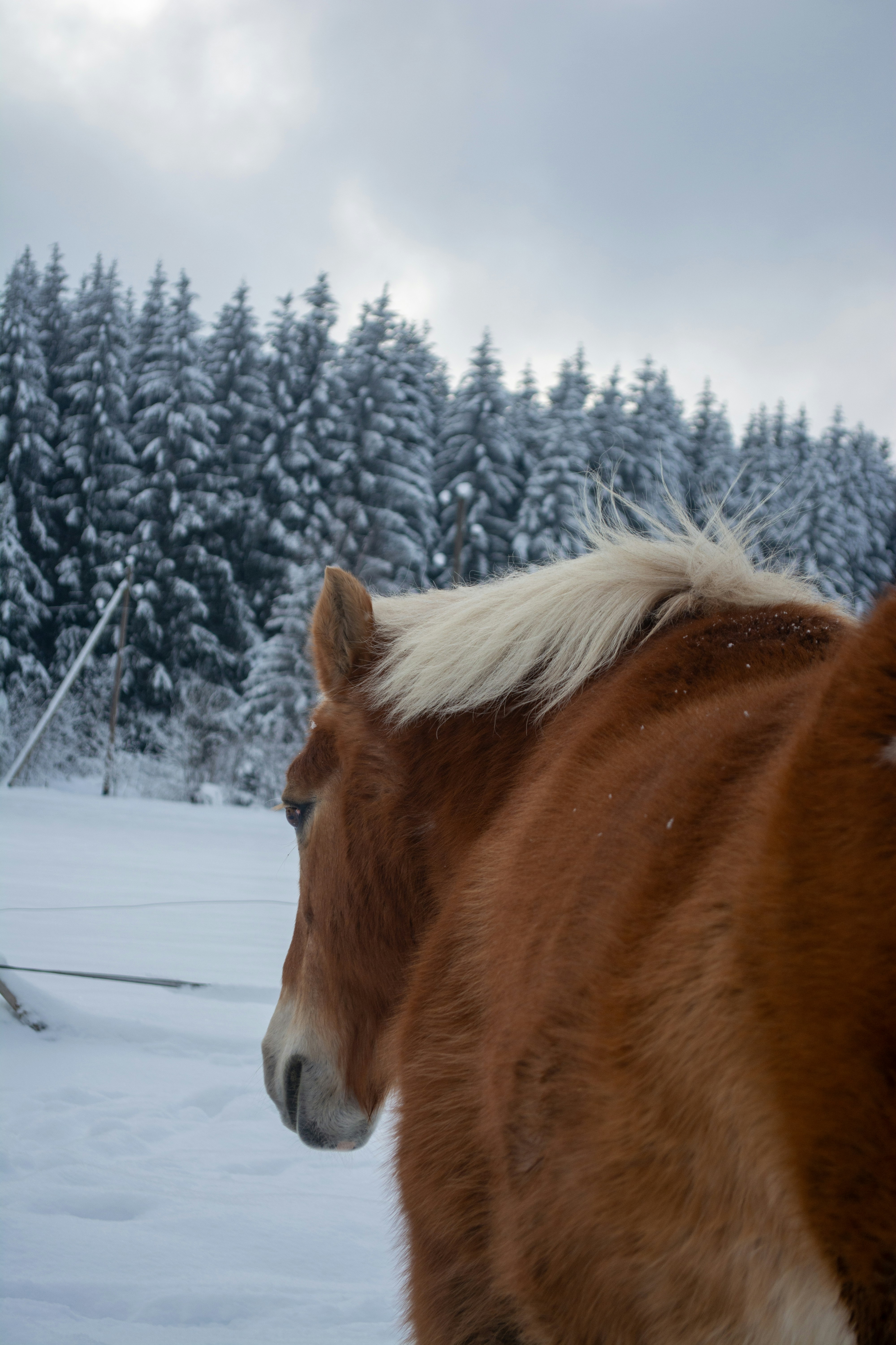 Photo by fabiankleiser